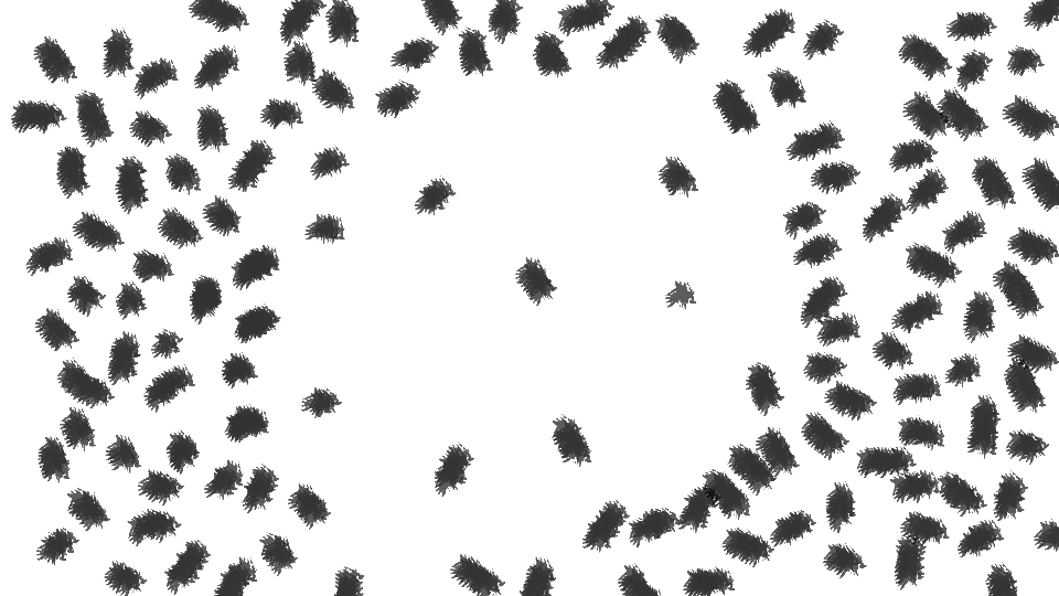 A dense cluster of small black insects surrounding a central black open space.