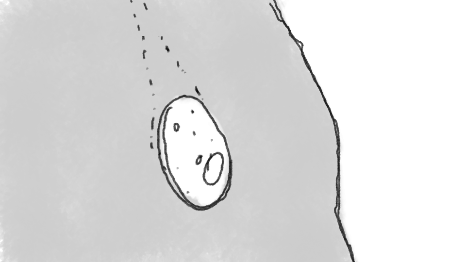 Close-up sketch of a human ear with detail of the earlobe and inner ear.