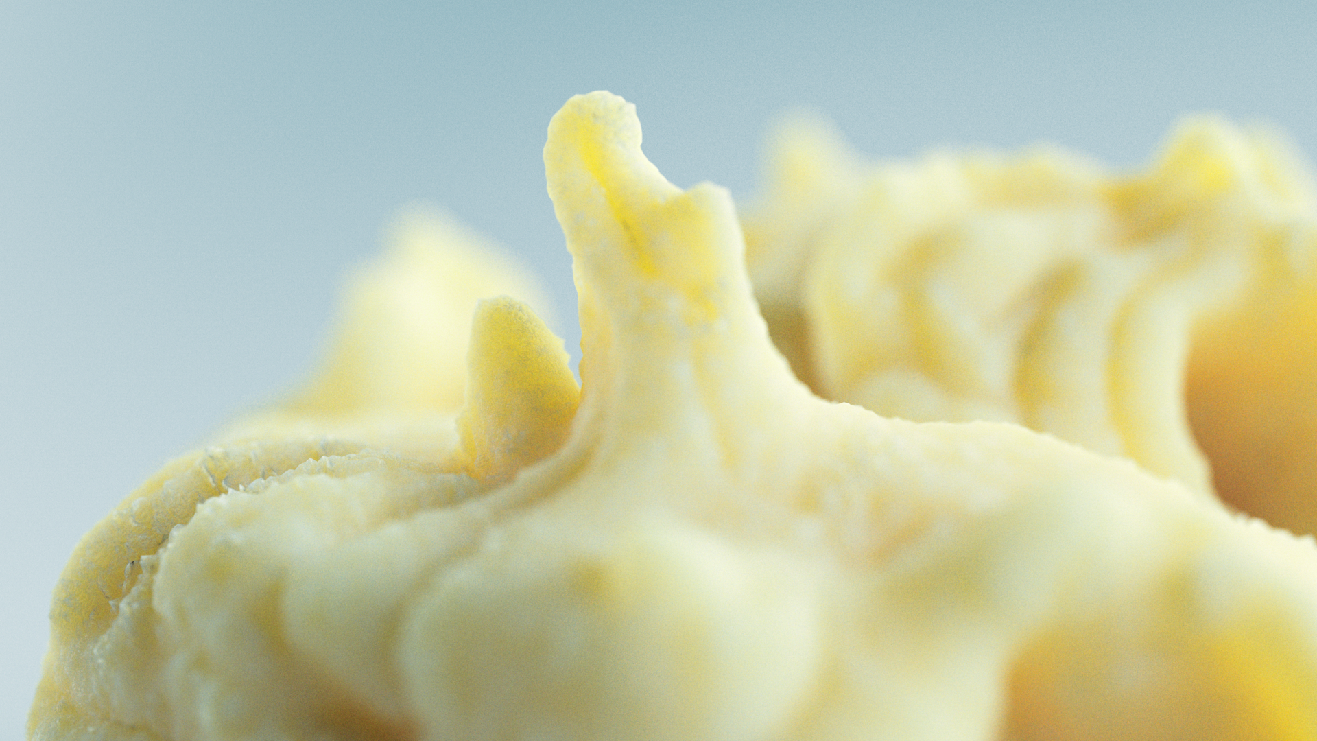 mash_C_v03_CU.png