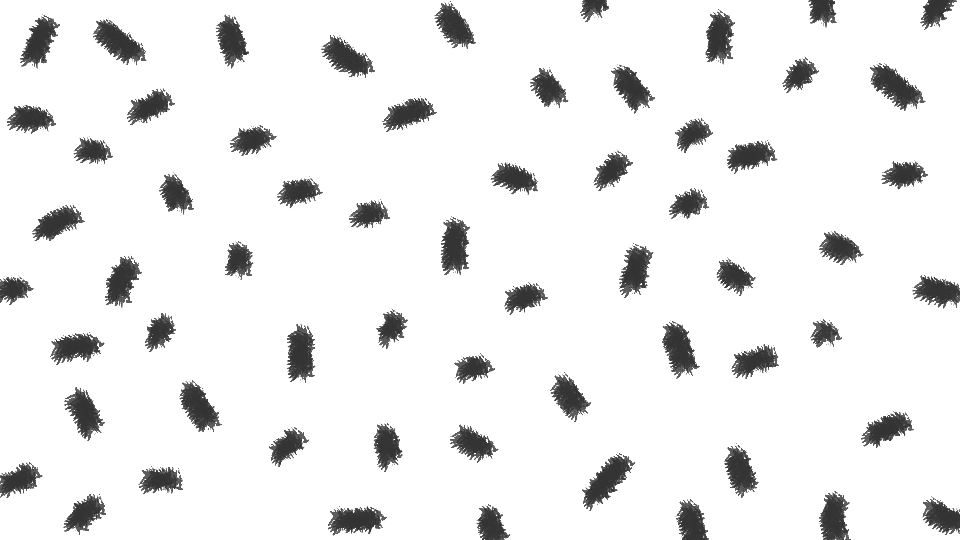 Black background with numerous small, white, irregularly shaped spots scattered across.