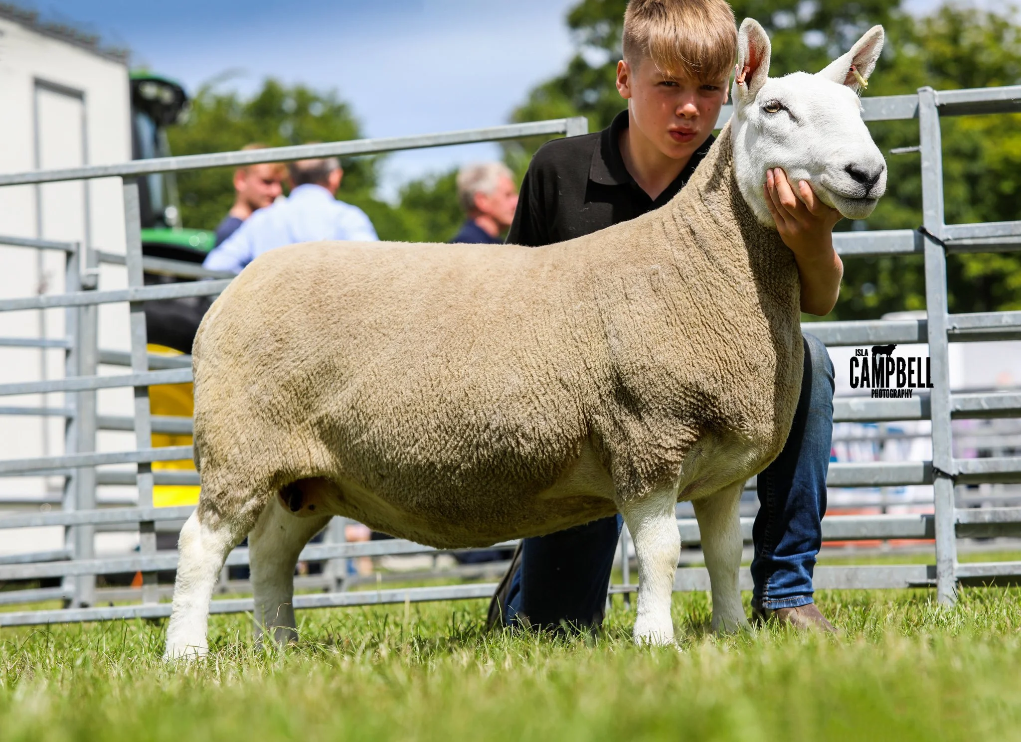 Reserve Cheviot ALAN COWEN.jpg
