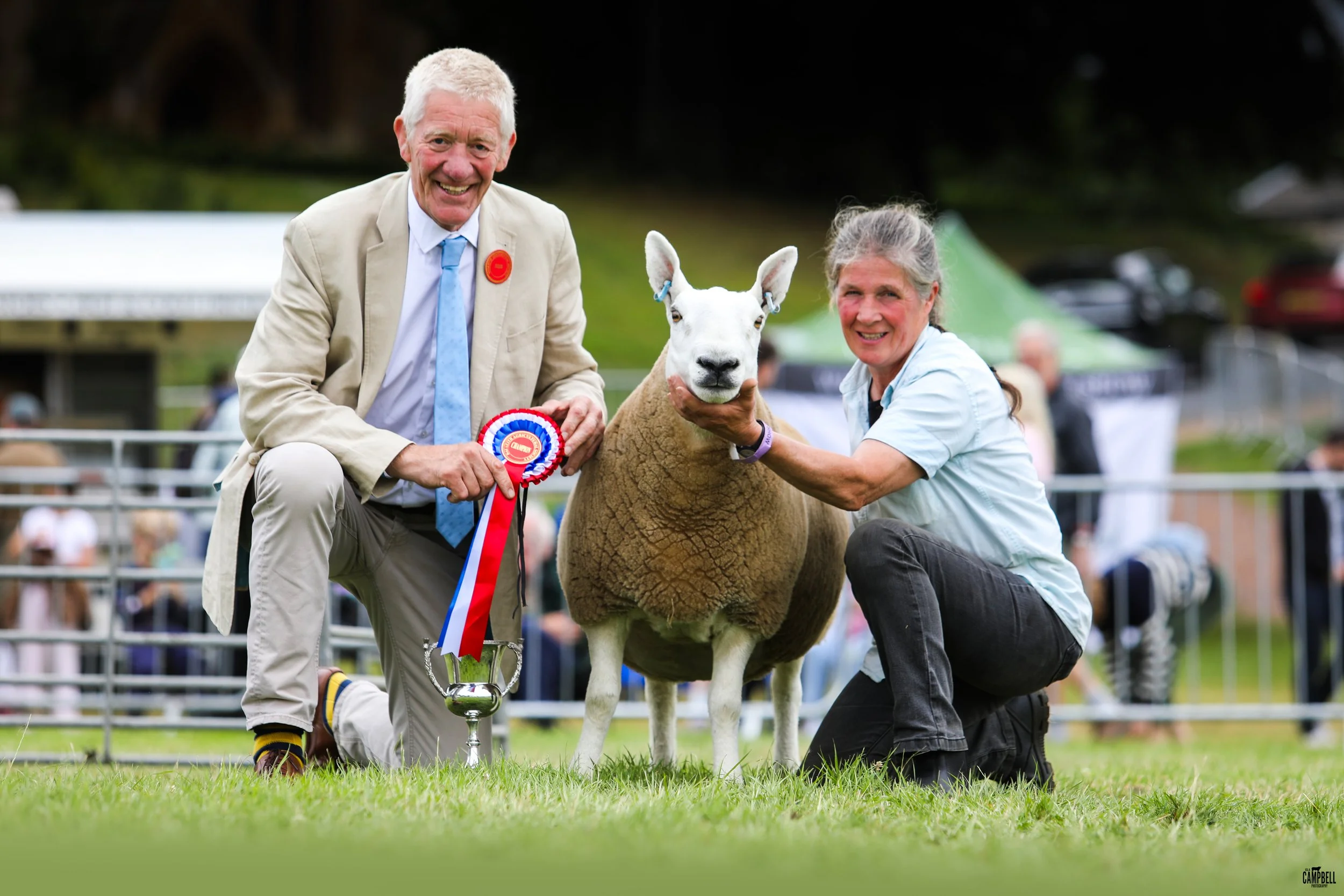 An elderly man and woman proudly display a sheep at an outdoor agricultural event. The man is kneeling on one knee holding a red, white, and blue ribbon, and the woman is crouched beside the sheep, which has a curved neck and detailed fleece. The sce