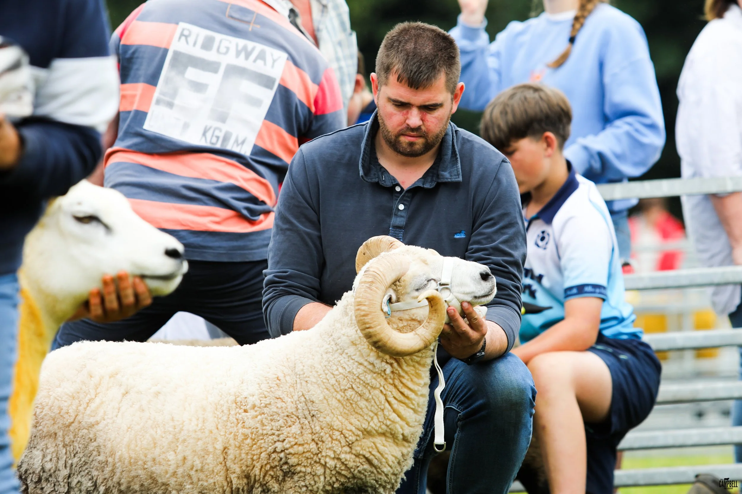 A man with a beard holding a sheep's head at an outdoor event with people in the background.