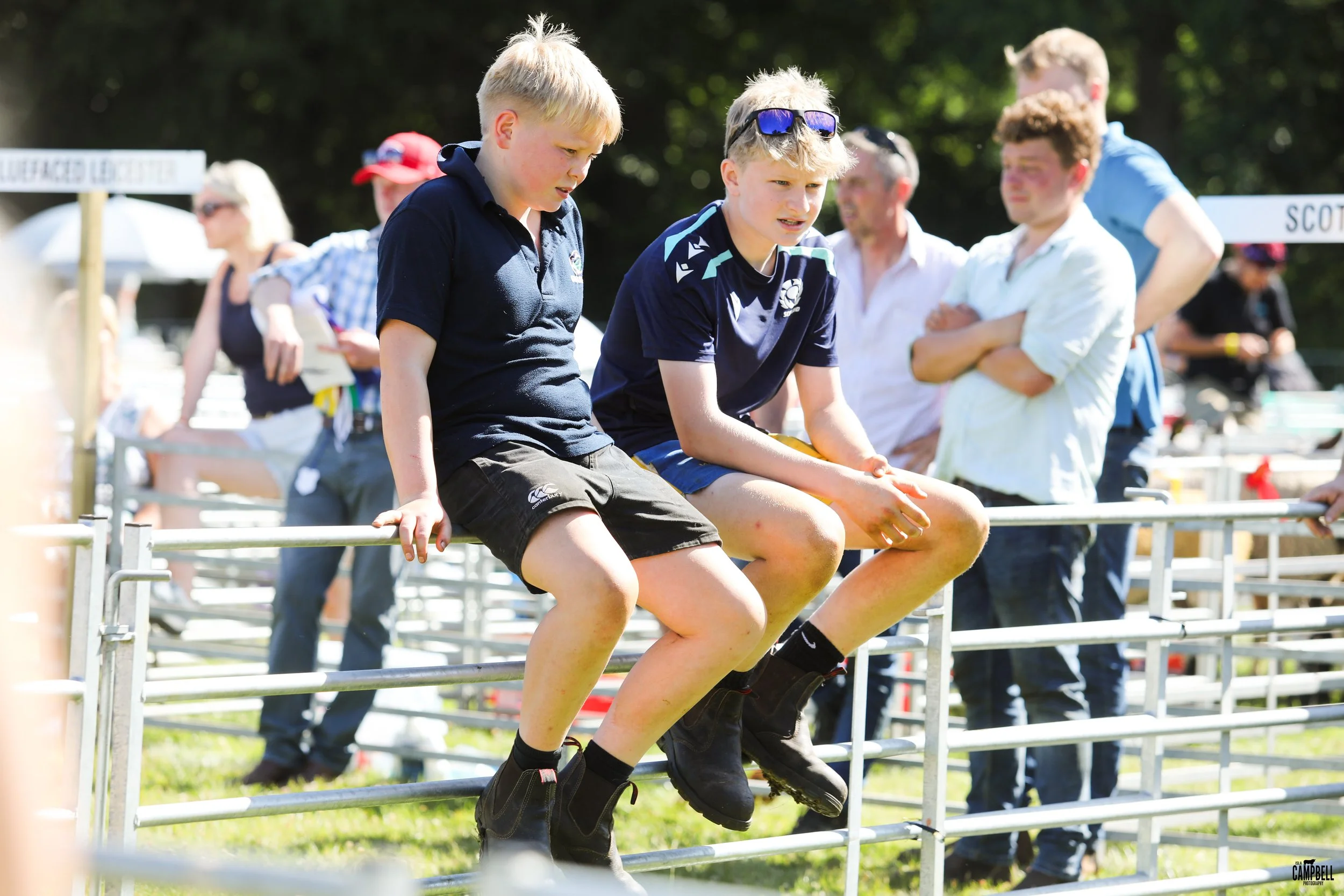 Two boys sitting on a metal fence at an outdoor event, with onlookers in the background, surrounded by greenery and sunny weather.