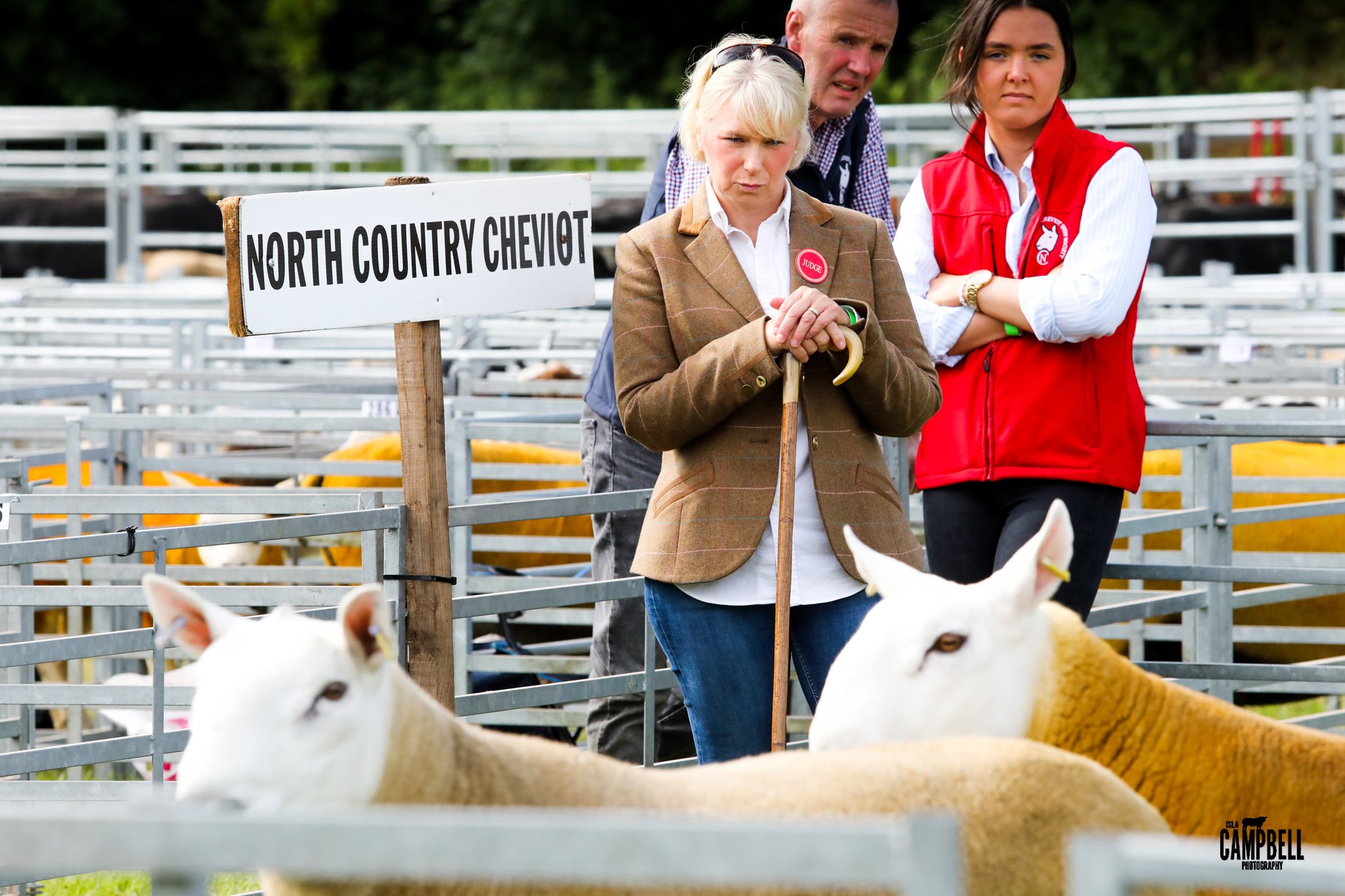 dalkeithshow-9.jpg