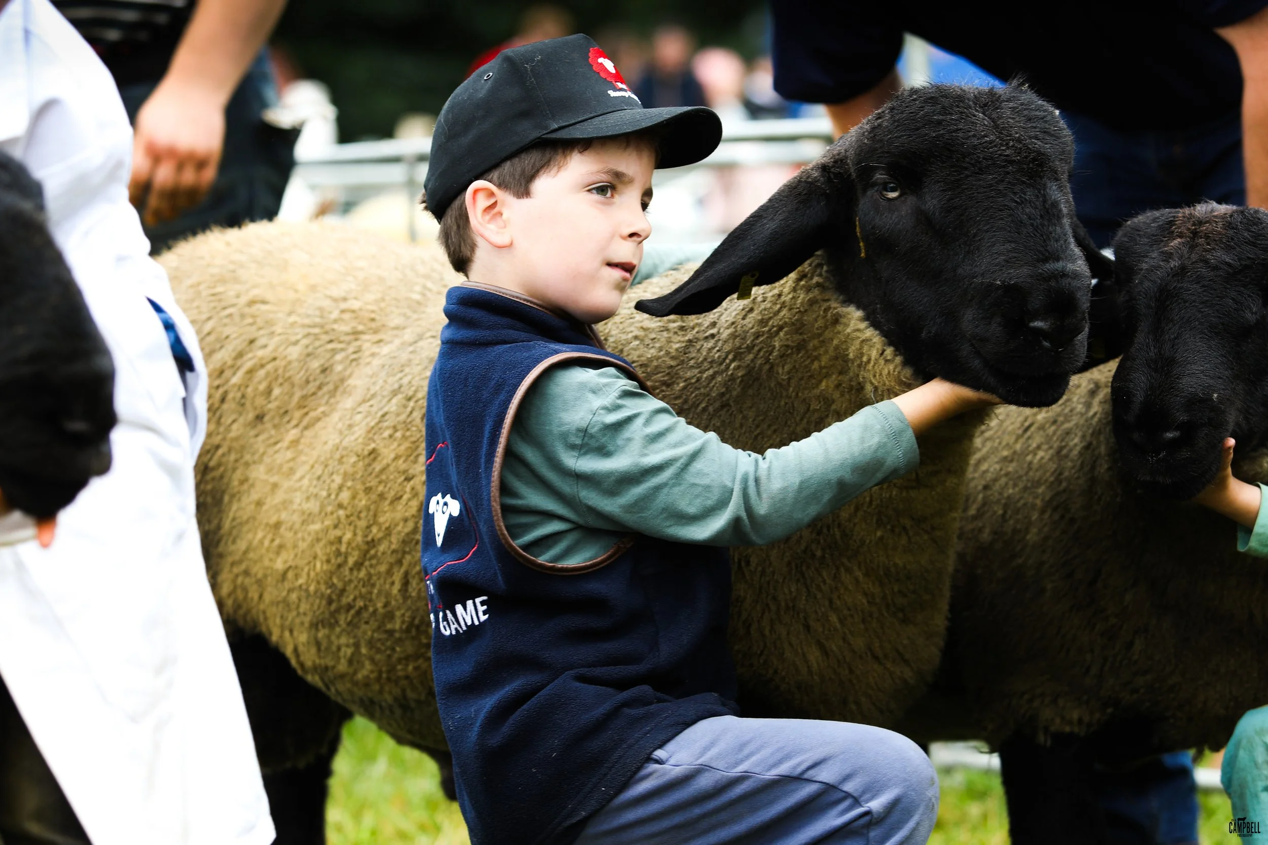 A young boy petting a black lamb at an outdoor farm event, with other children and people in the background.
