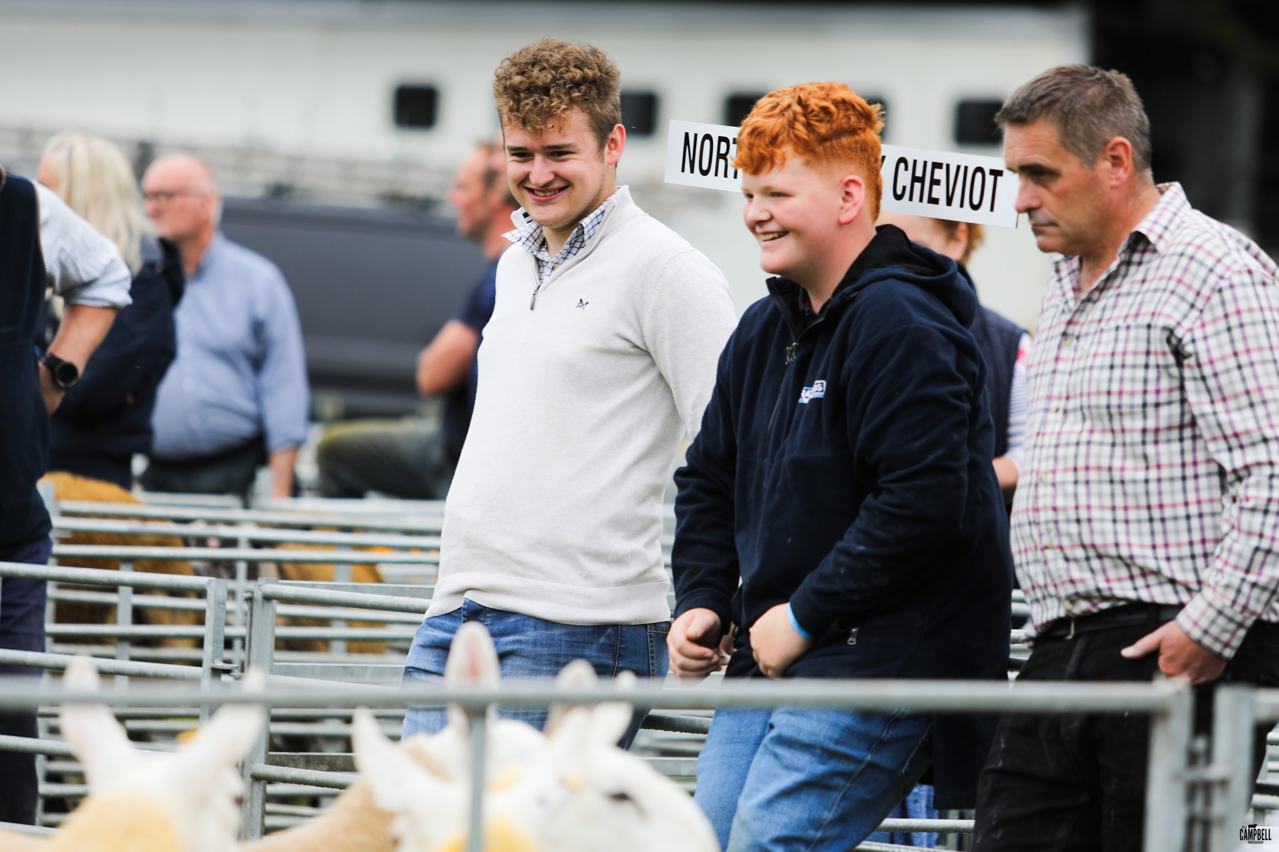 People standing behind a metal fence at a farm, with sheep in the foreground and signs that read 'North Cheviot' in the background.