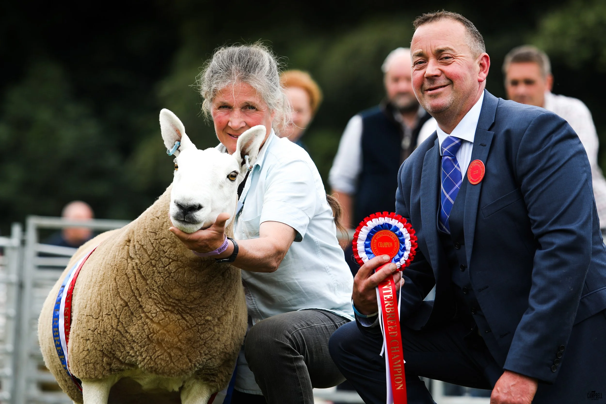 A woman holding a sheep, both wearing ribbons and sashes, at an outdoor event with several smiling people in the background.