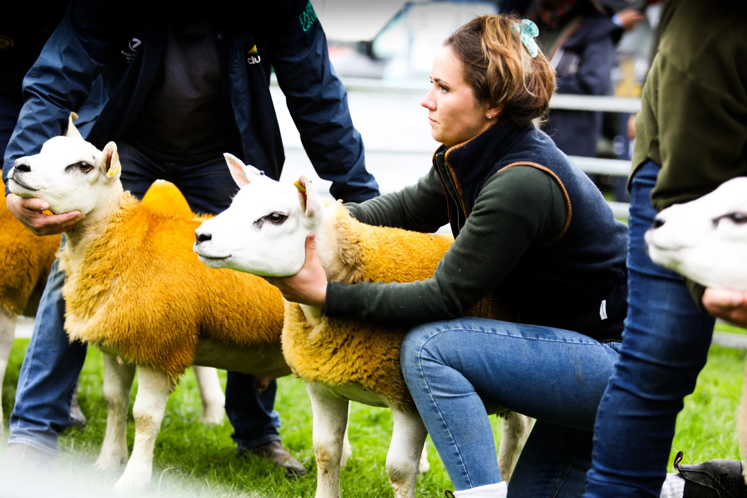 dalkeith show 24-71.jpg