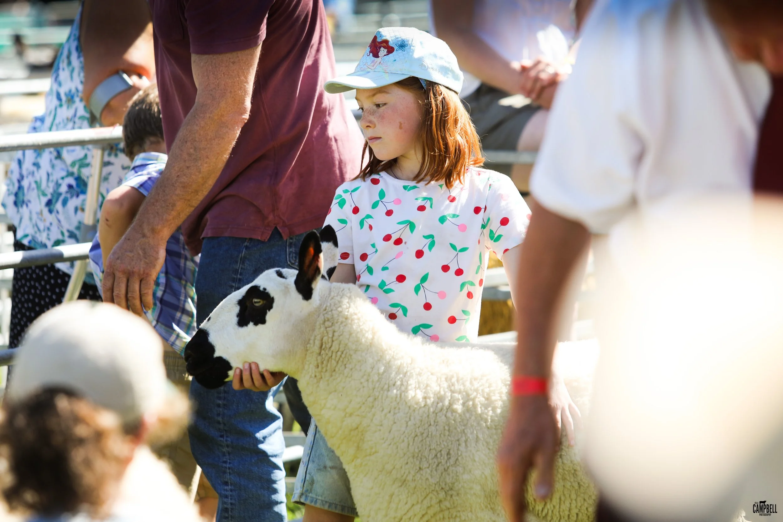 A young girl in a white hat and cherry-patterned shirt holding a sheep at an outdoor farm event.