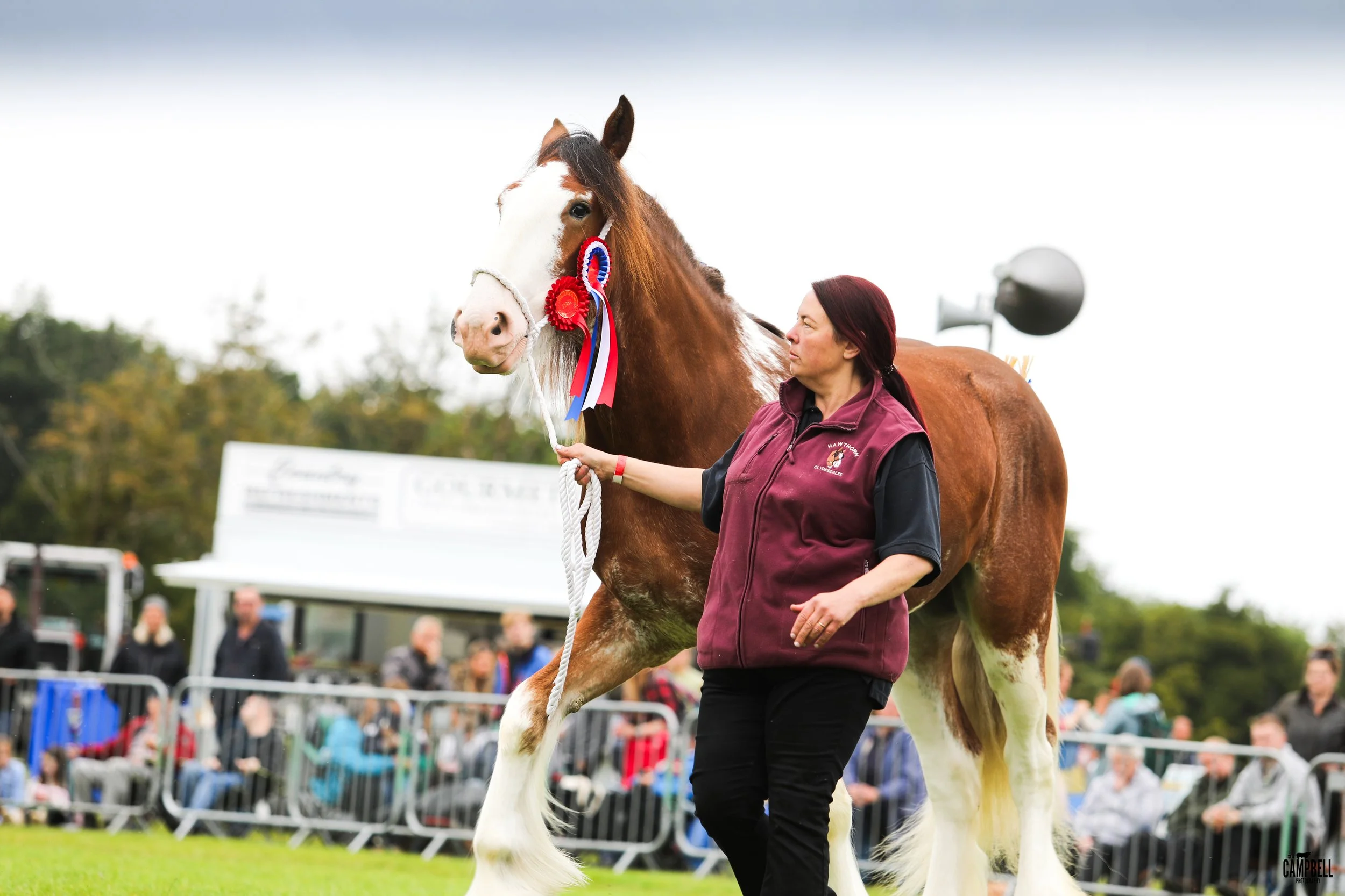 dalkeith show 24-131.jpg