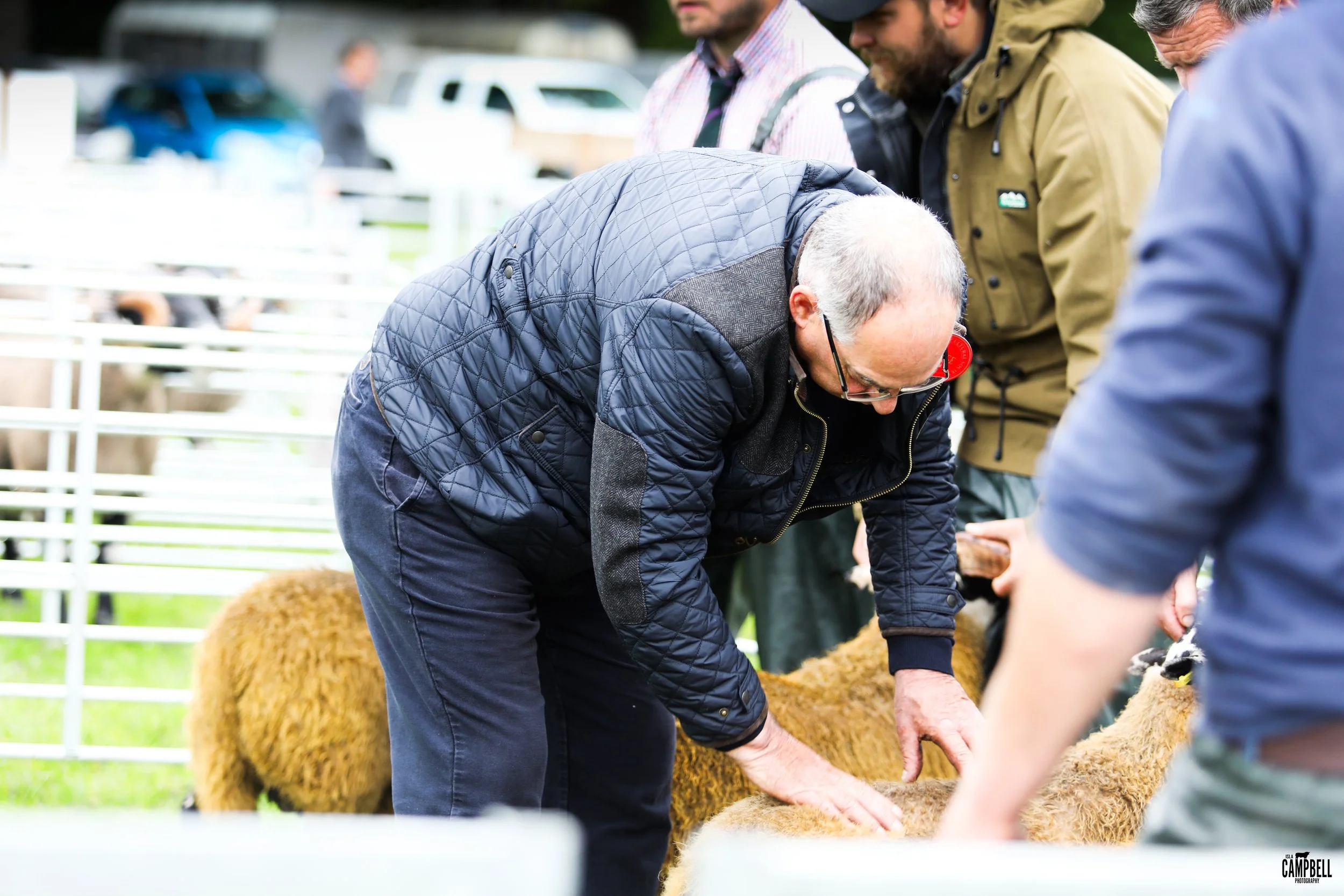 dalkeith show 24-57.jpg