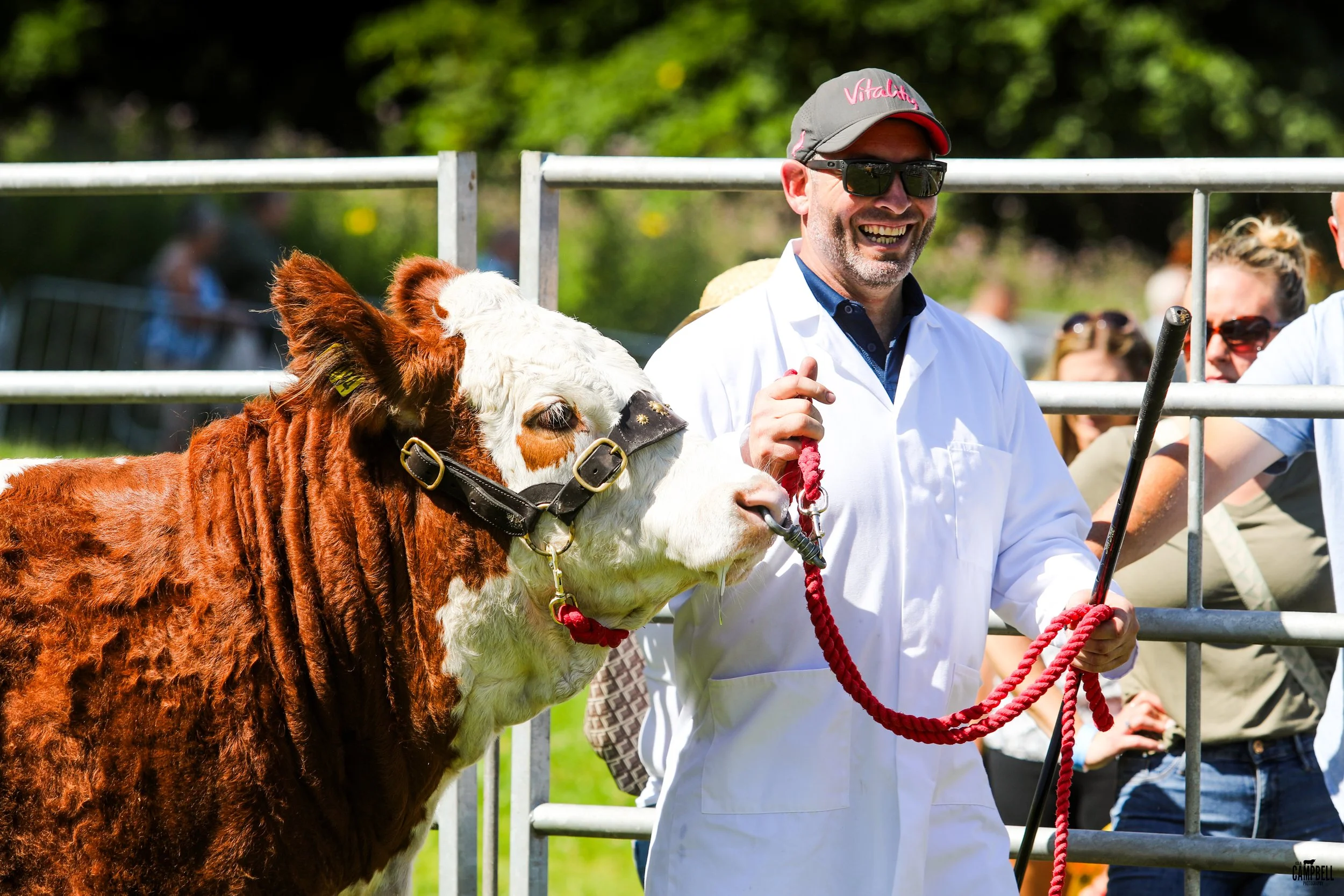 A man in a white coat and sunglasses smiling while holding a red lead attached to a brown and white cow at a farm or outdoor event.