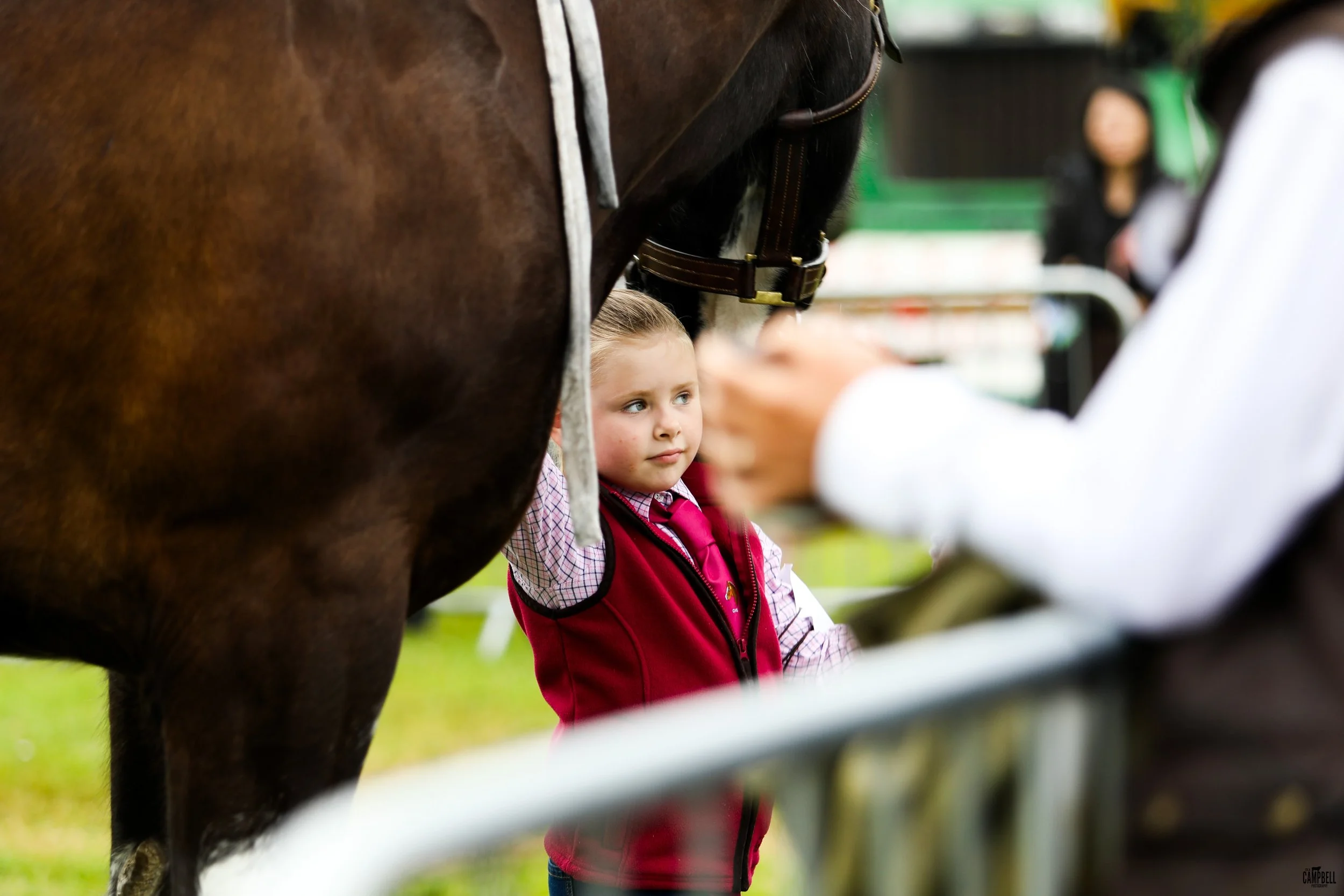 A young girl with blonde hair and a pink checkered shirt looks curiously at a woman who is adjusting a harness on a horse. The scene takes place at a farm or rodeo, with a green fence and blurred figures in the background.