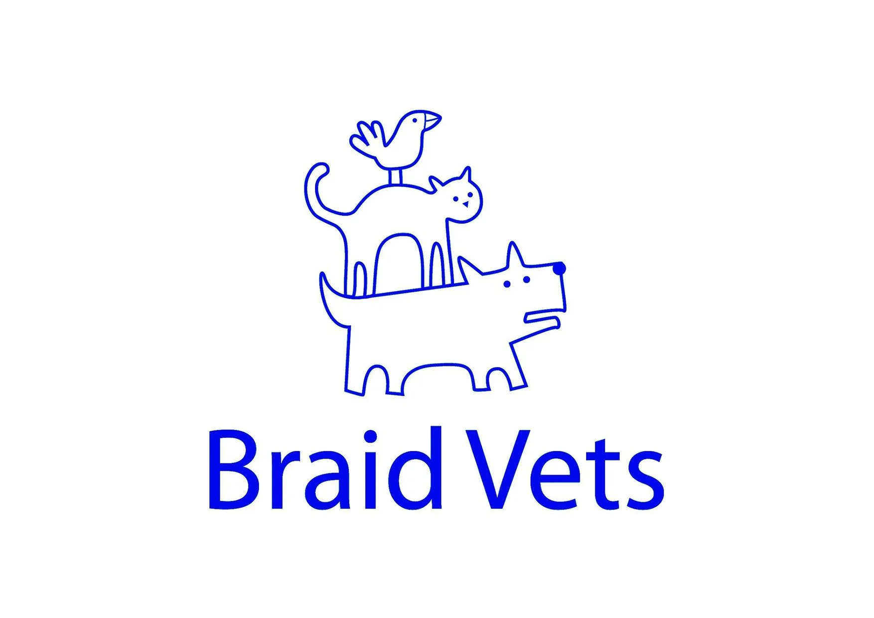 BRAID VETS.jpg