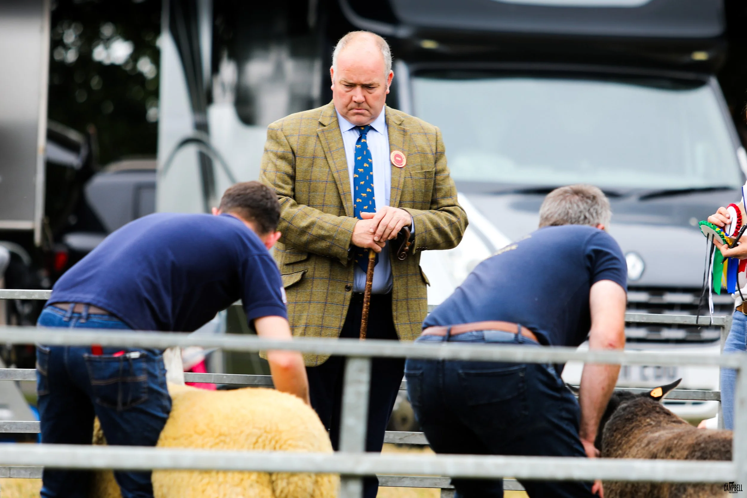 A man in a plaid blazer and tie stands with a serious expression, observing people working on a sheep in front of him at an outdoor event.