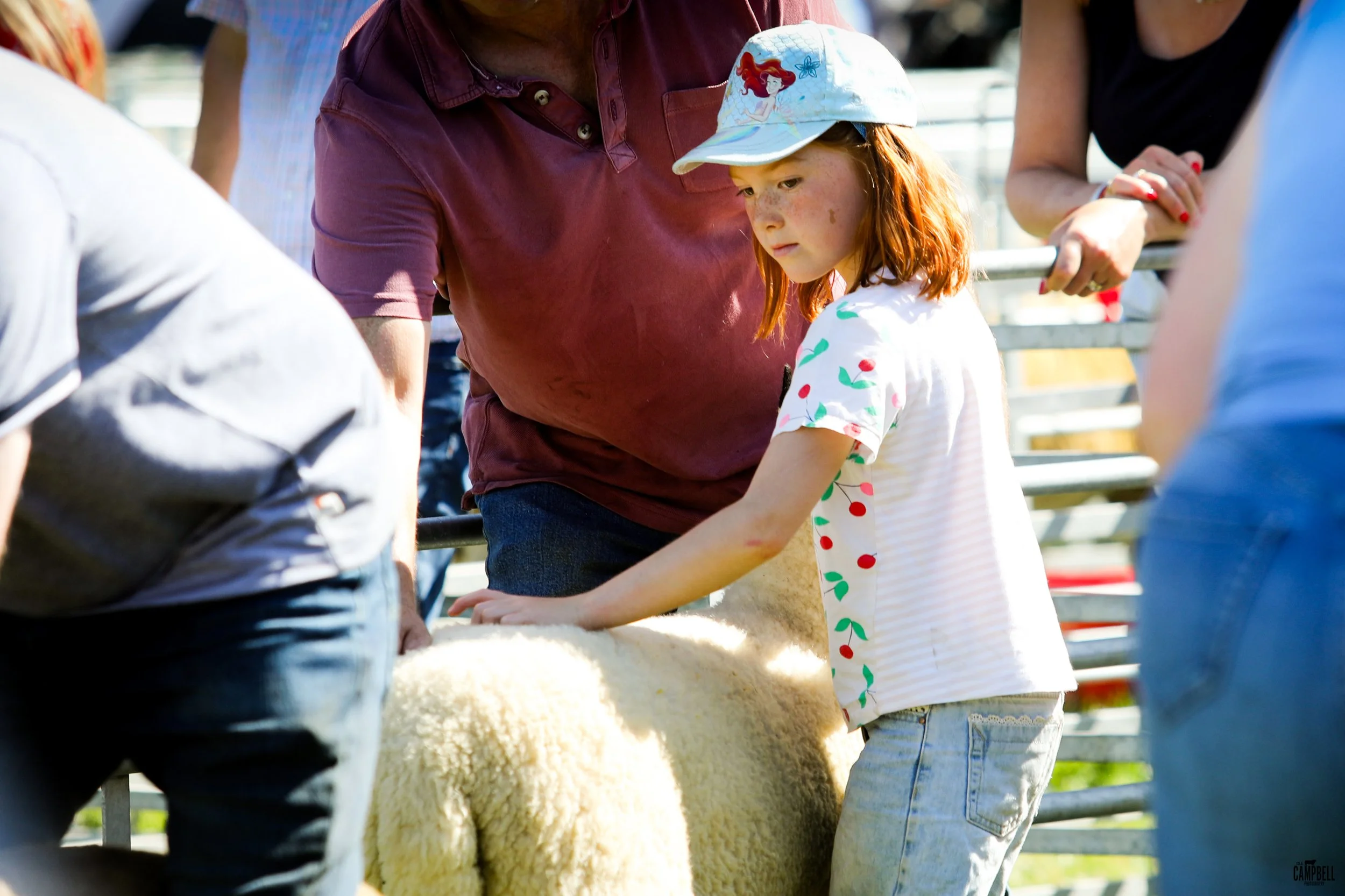 A young girl with red hair wearing a Disney princess hat and a white shirt with cherries petting a sheep at a farm.
