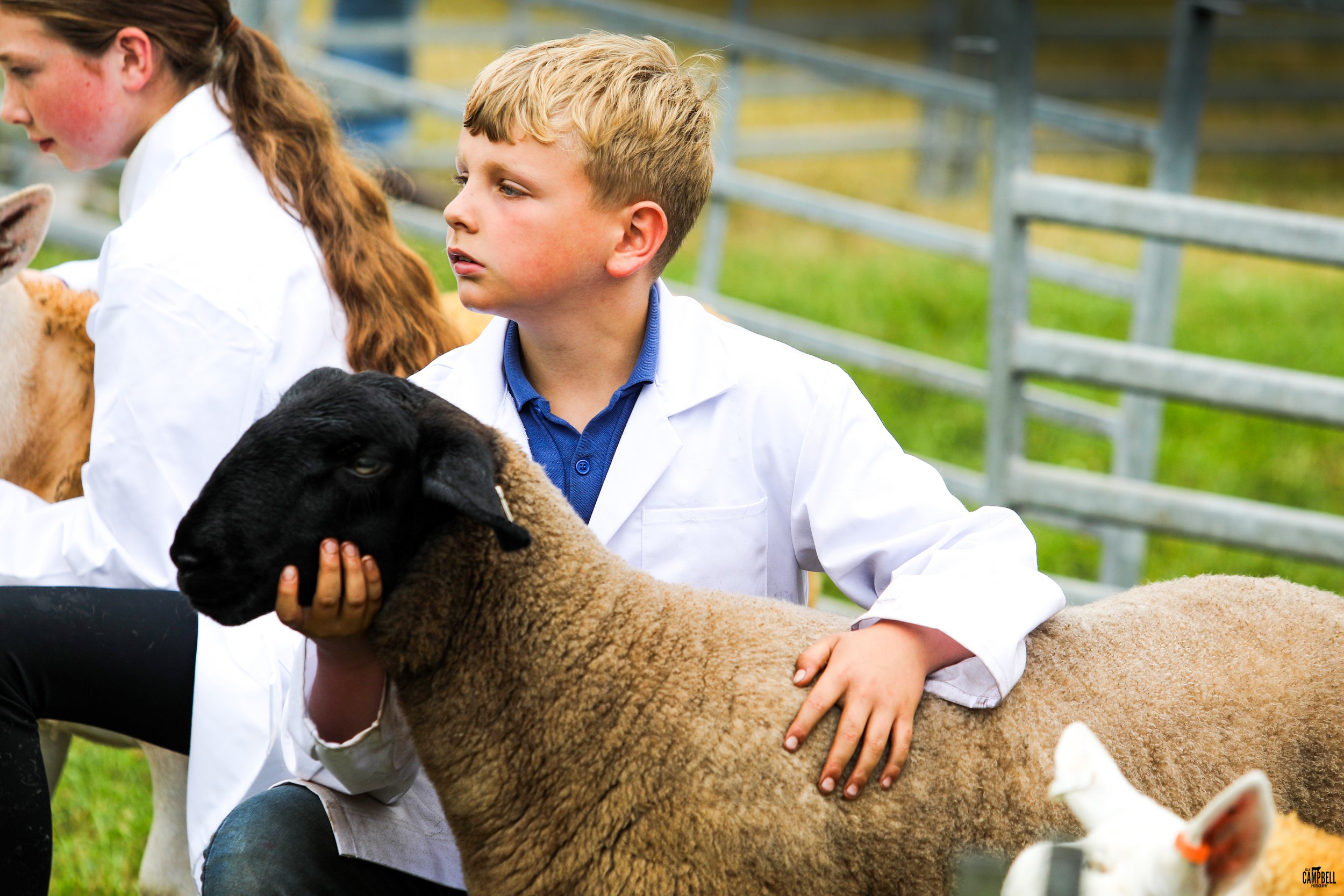 Young boy with blond hair in a white coat petting a sheep.