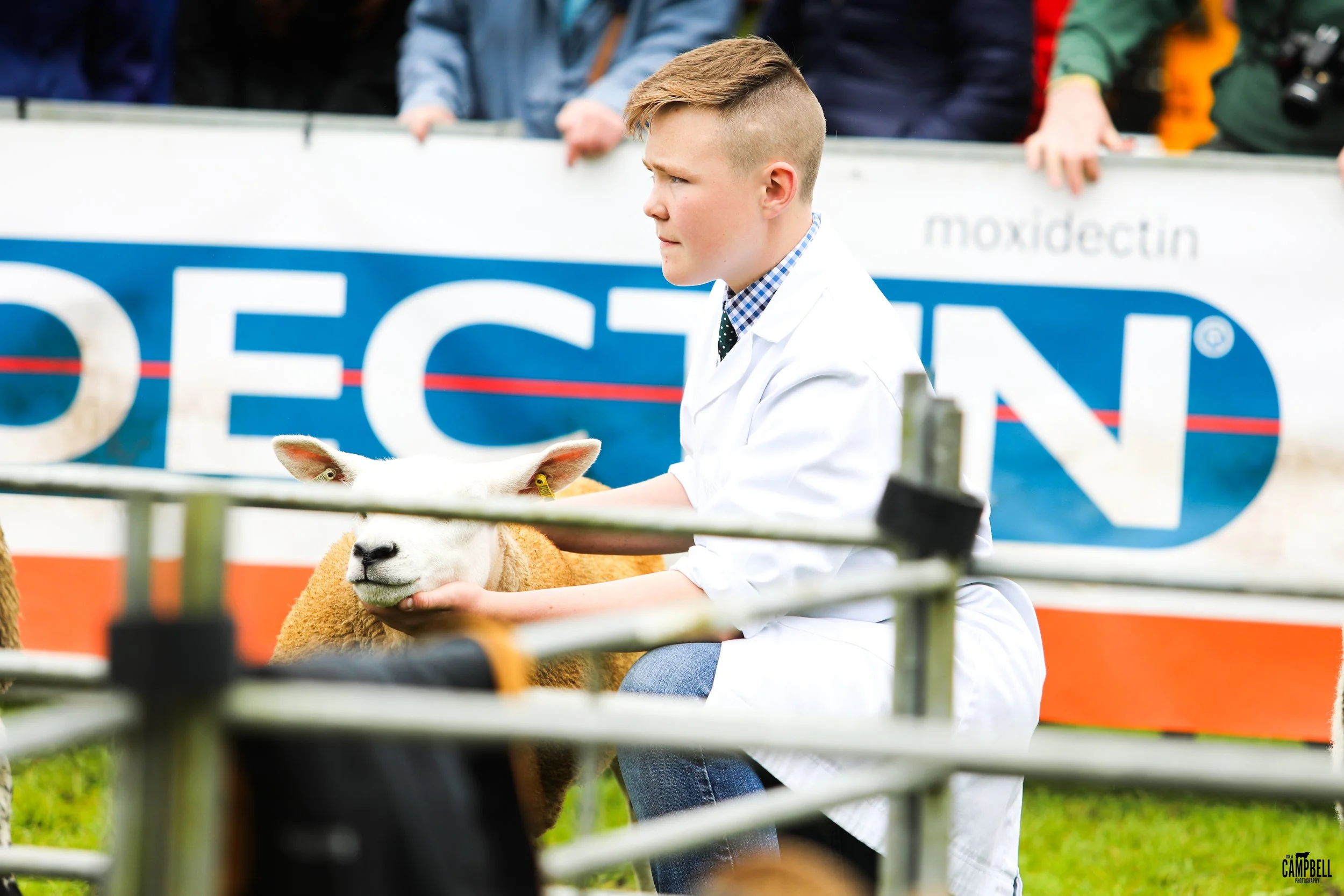 dalkeith show 24-101.jpg