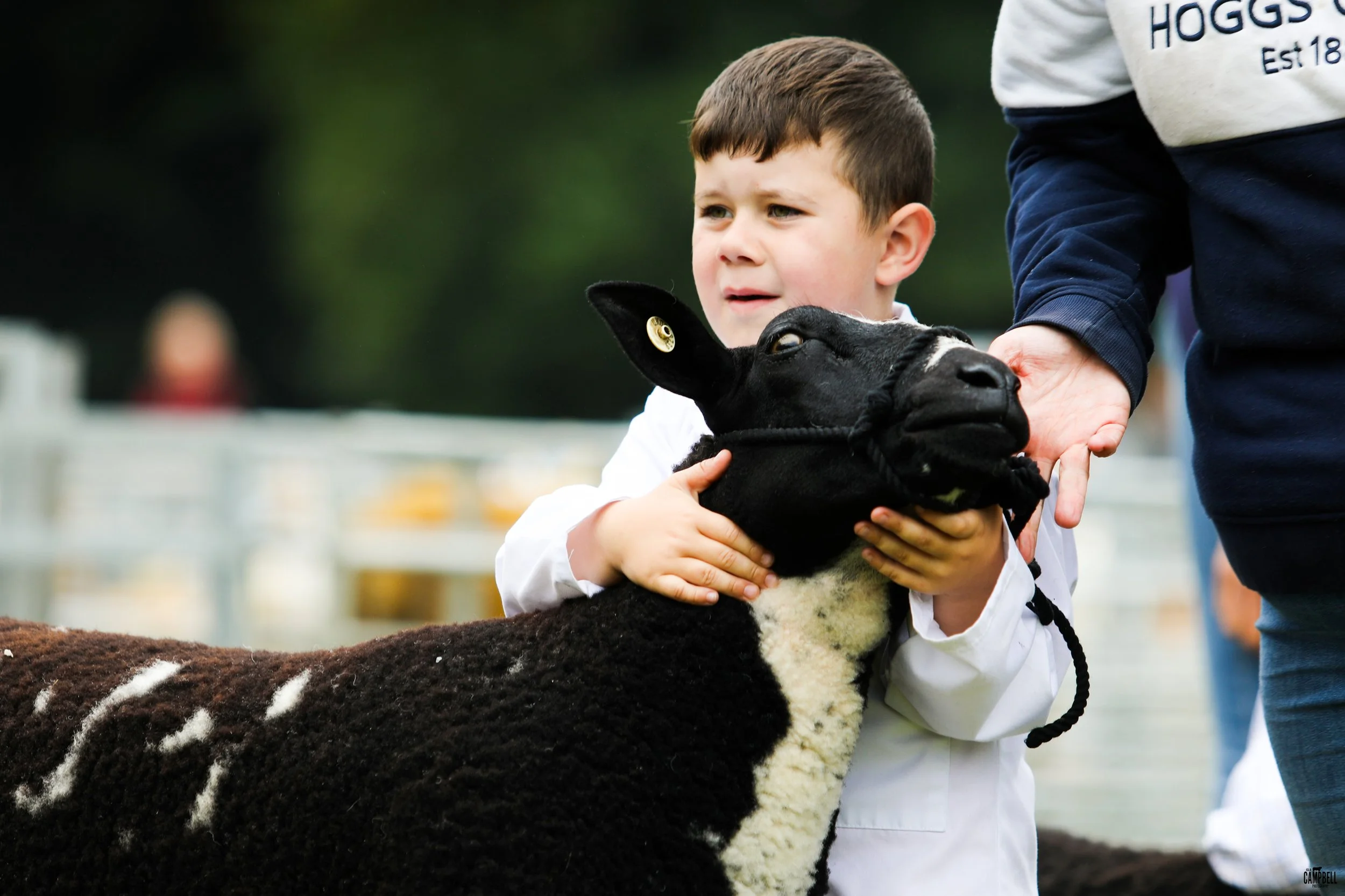 A young boy holding a black and white calf at an outdoor farm event, with a person in a white and navy jacket assisting.