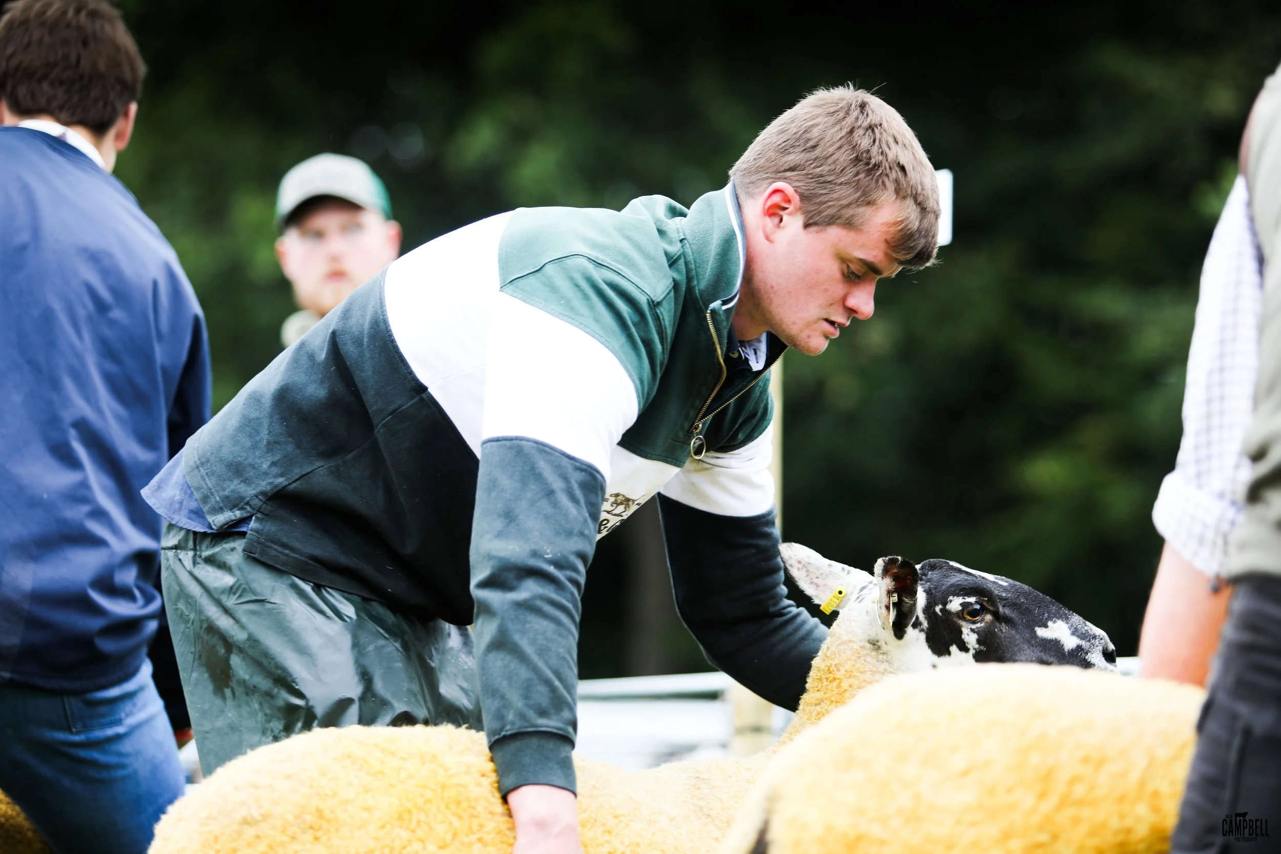 dalkeith show 24-61.jpg