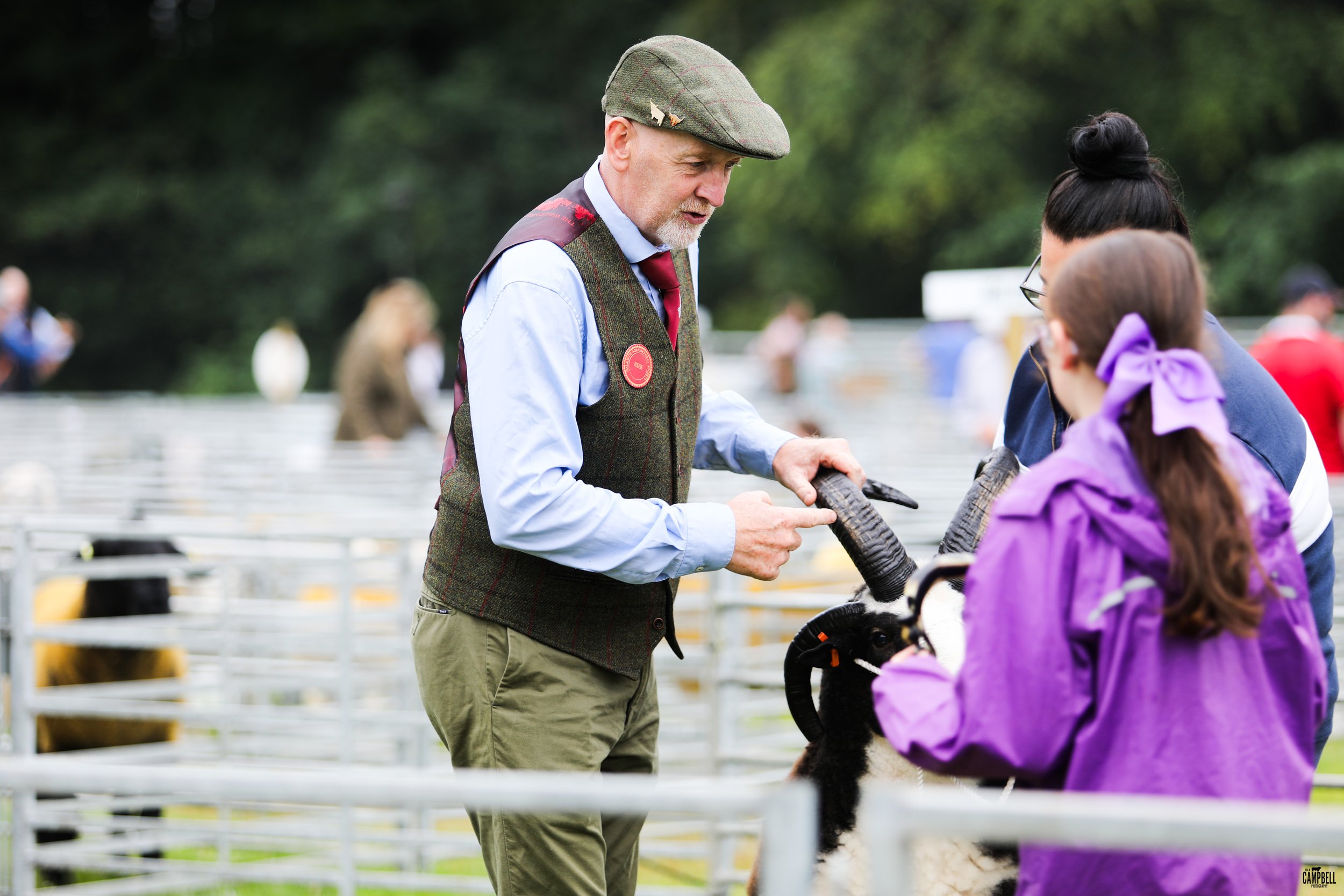 A man wearing a green tweed vest and flat cap is talking to a young girl with purple jacket and bow, standing next to a black and white dog during an outdoor event with a fenced area and blurred people in the background.