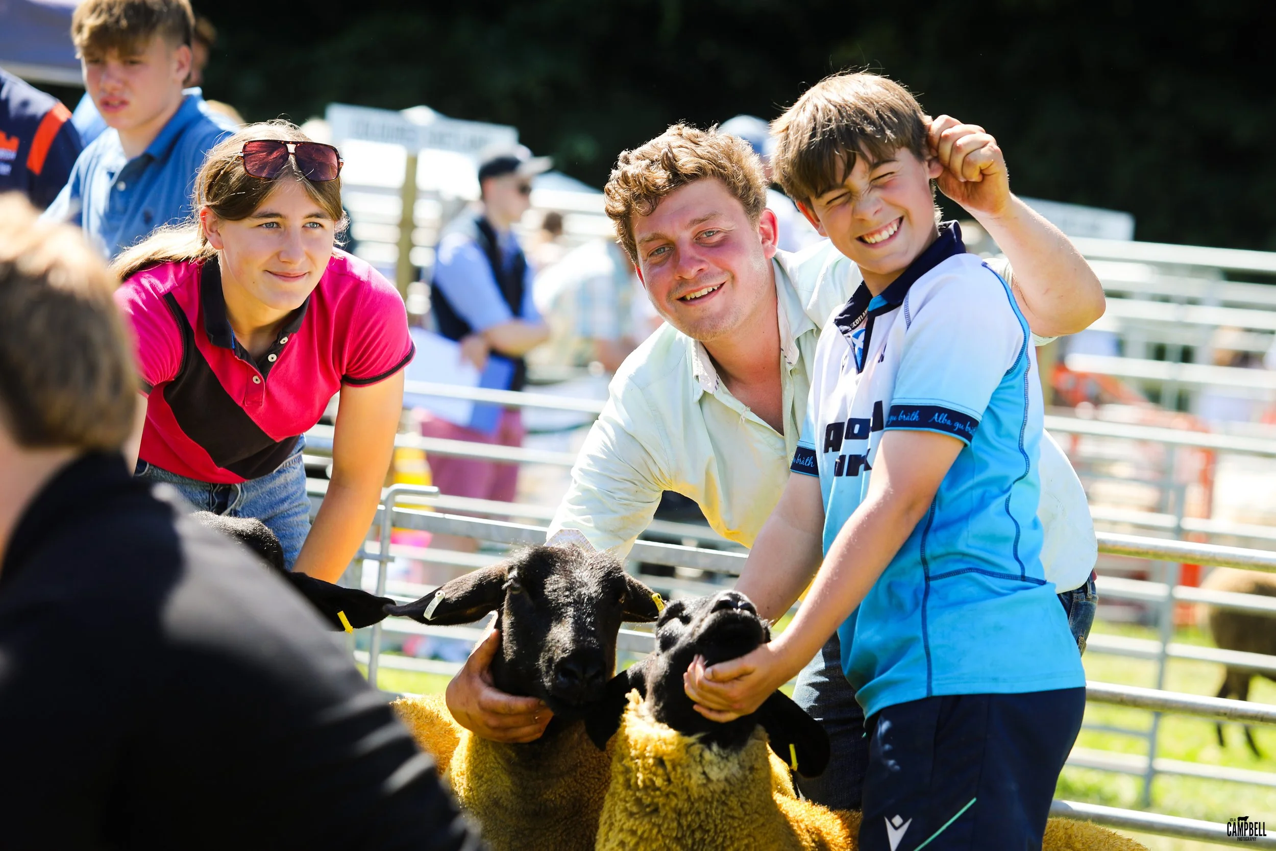 People petting two black-faced sheep at an outdoor farm event.
