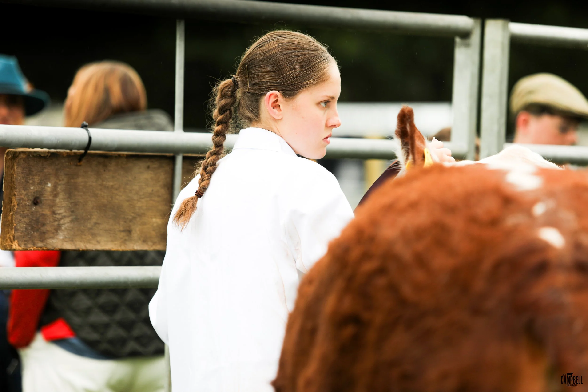 dalkeith show 24-28.jpg