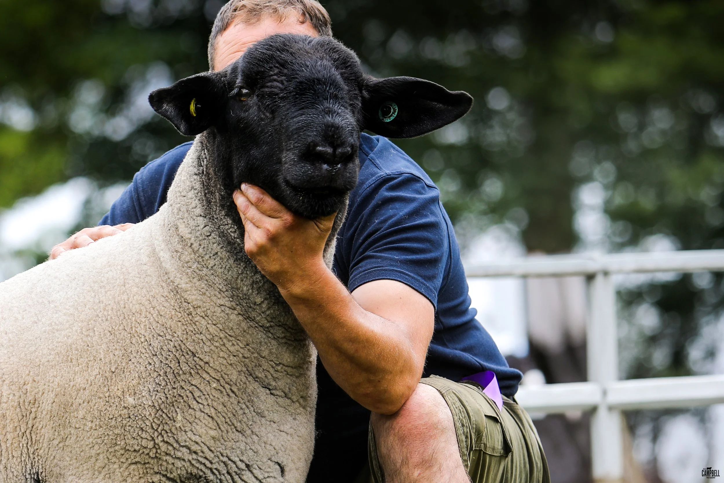 A person holding a black sheep with a woolly coat in an outdoor setting with greenery in the background.