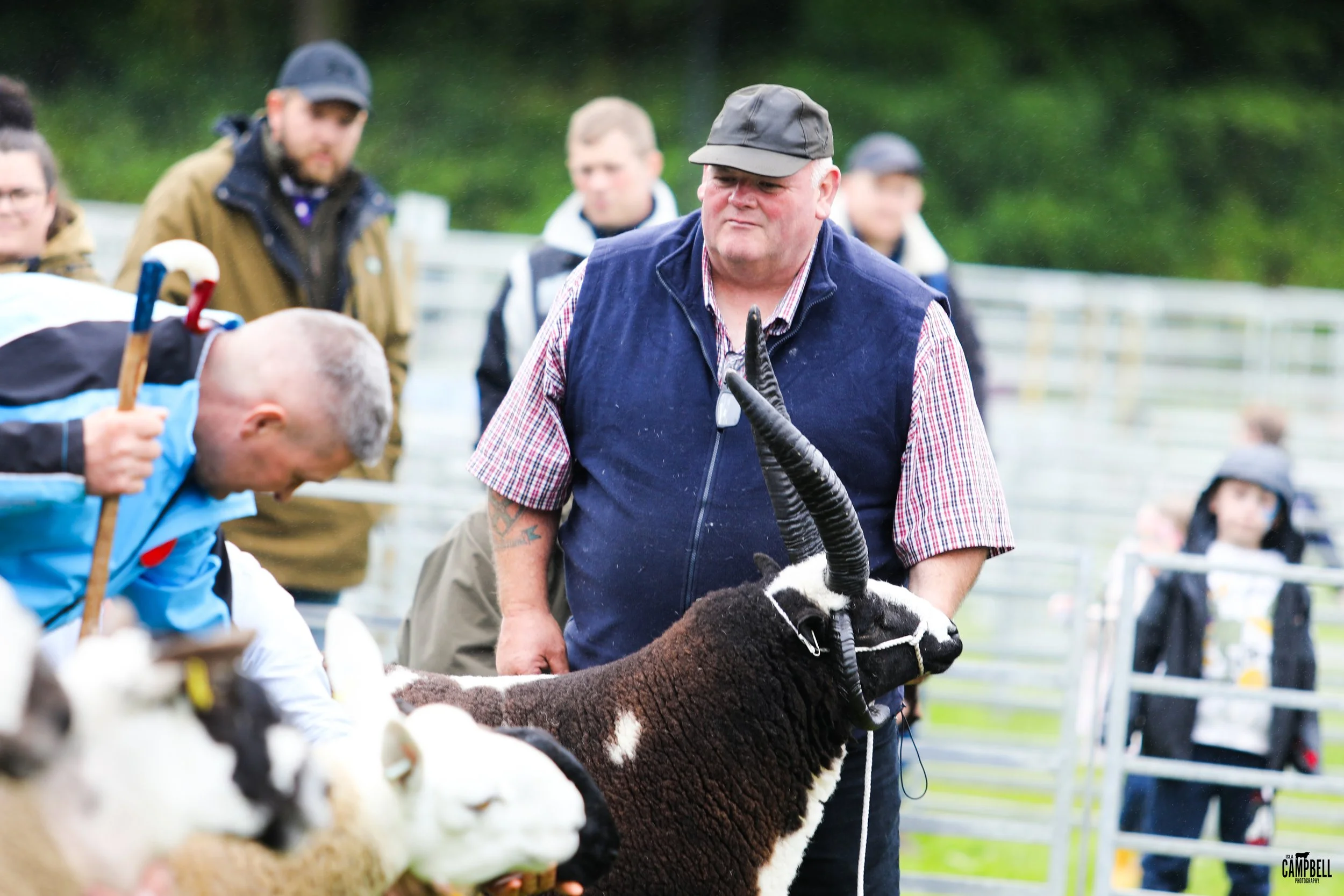 dalkeith show 24-092.jpg