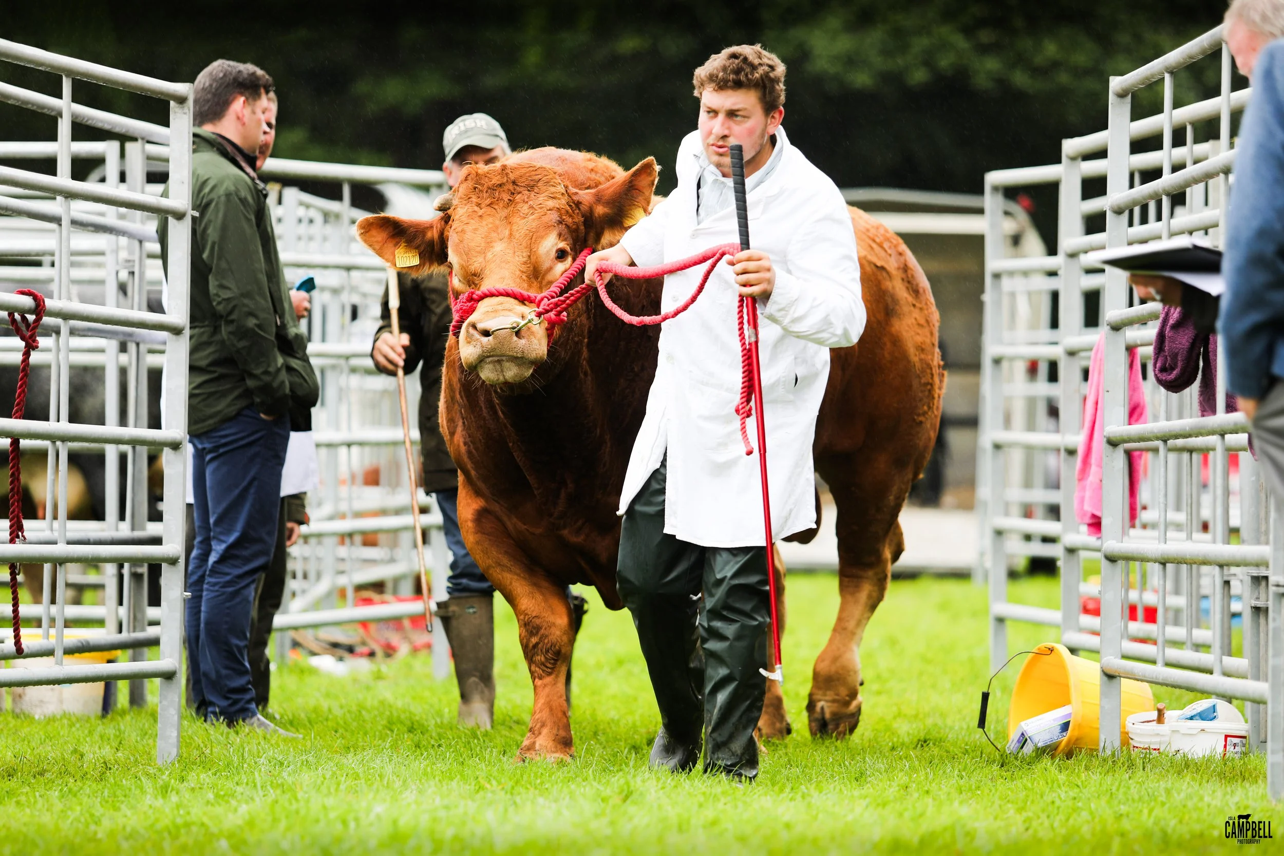 dalkeith show 24-07.jpg