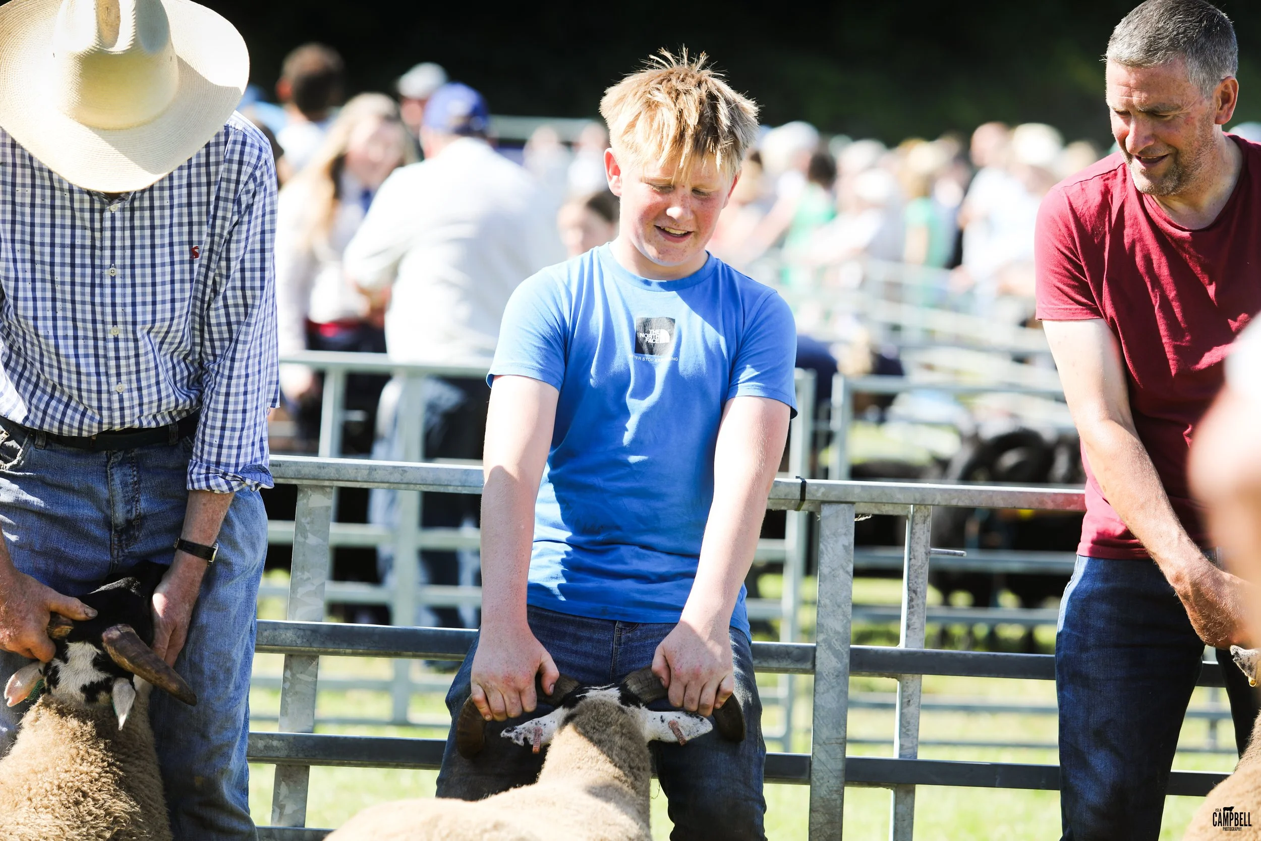 A boy in a blue T-shirt holding a sheep by its head at a livestock event, with two men on either side assisting, in a fenced outdoor area filled with people.