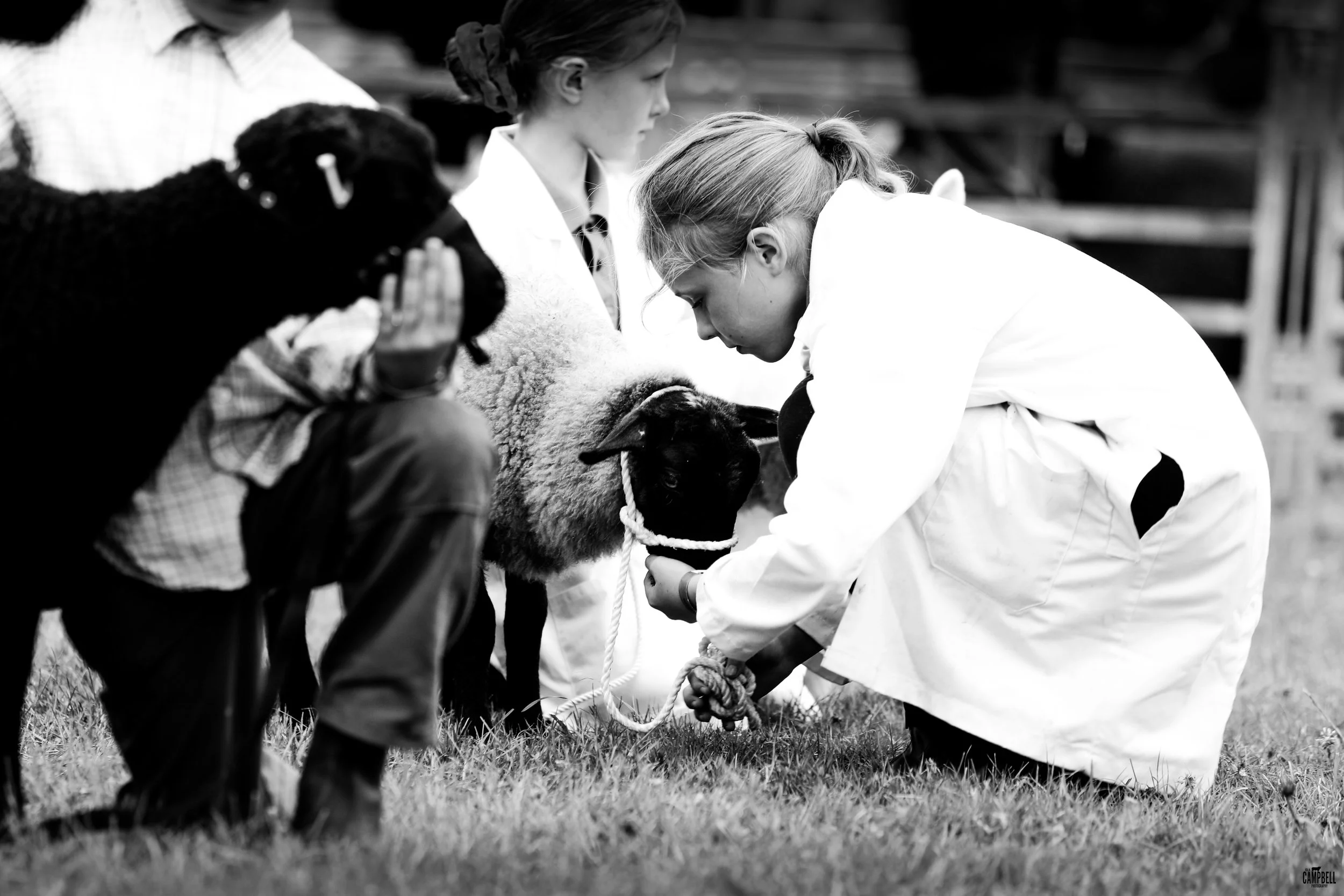 Two young women and a man in overalls examining a sheep at an outdoor farm, with other animals and farm structures in the background.