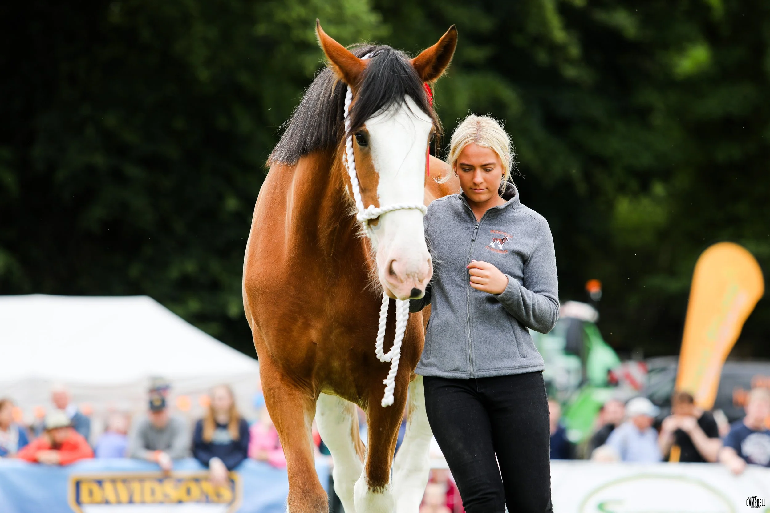 A young blonde woman in a gray jacket walking a brown and white horse during an outdoor event, with a blurred crowd and trees in the background.