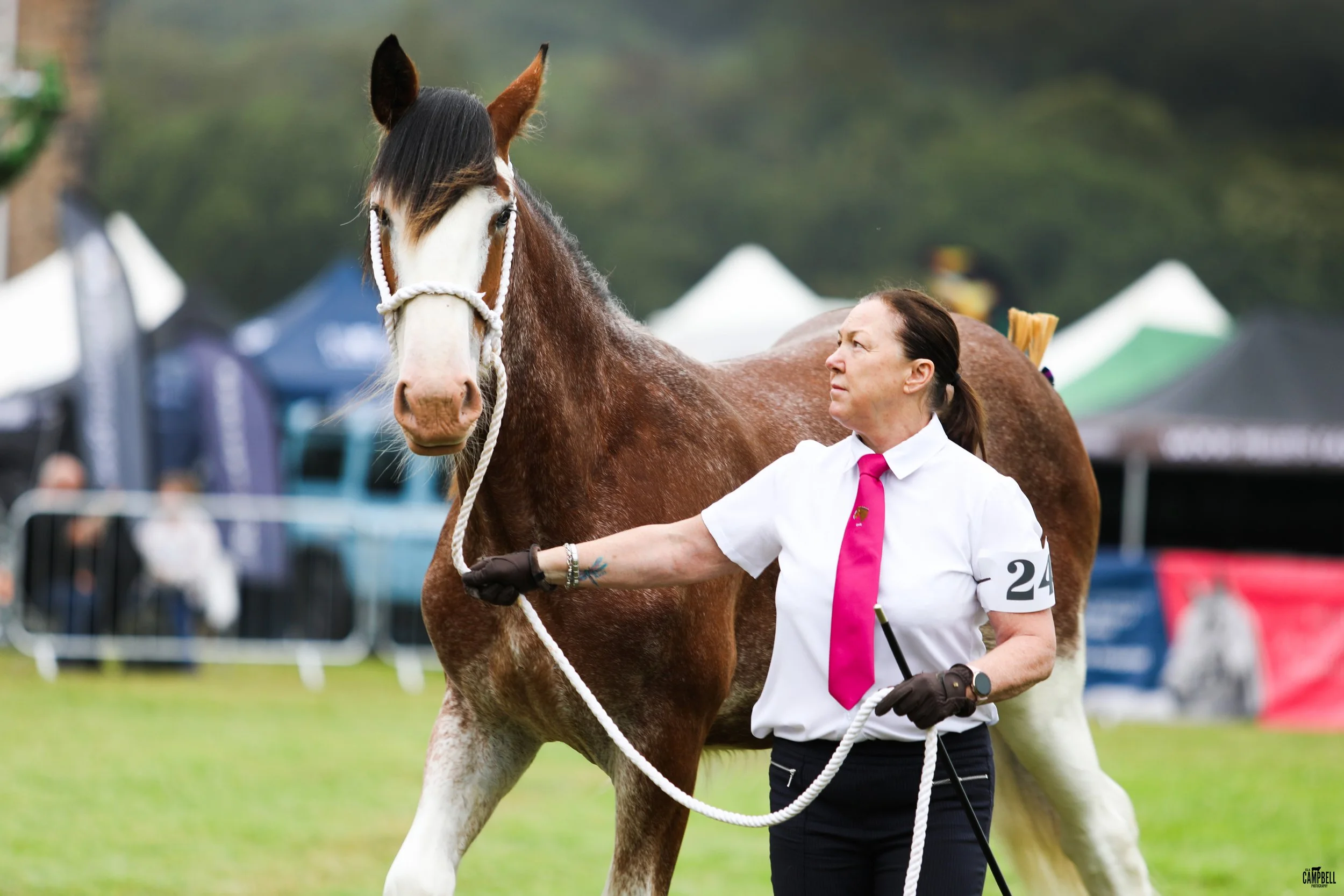 A woman holding a brown and white horse during an outdoor event with tents and trees in the background.