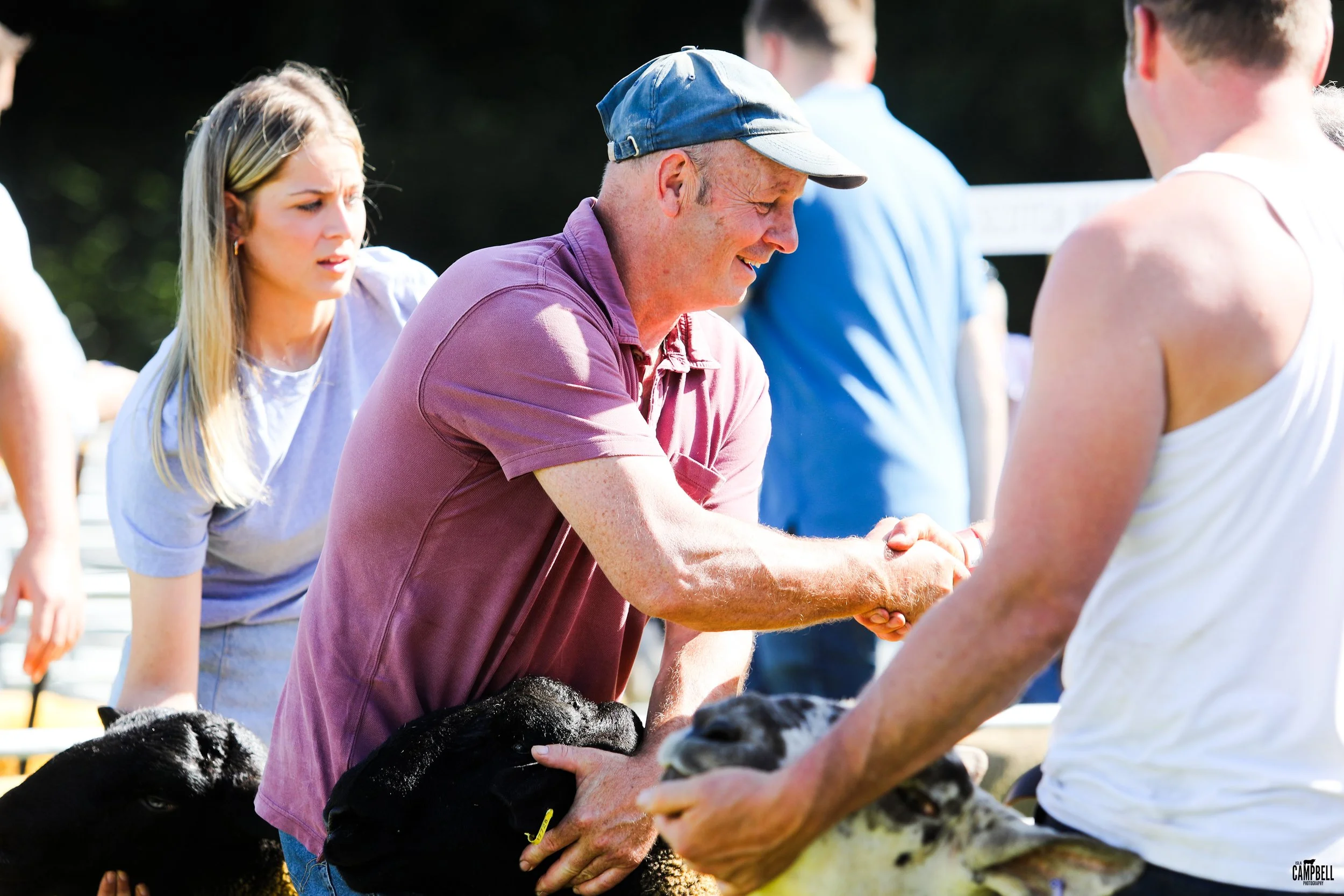 A man in a purple shirt and blue cap shaking hands with a young man in a white tank top, at an outdoor event with cows present, while a woman in a light-colored shirt looks on.