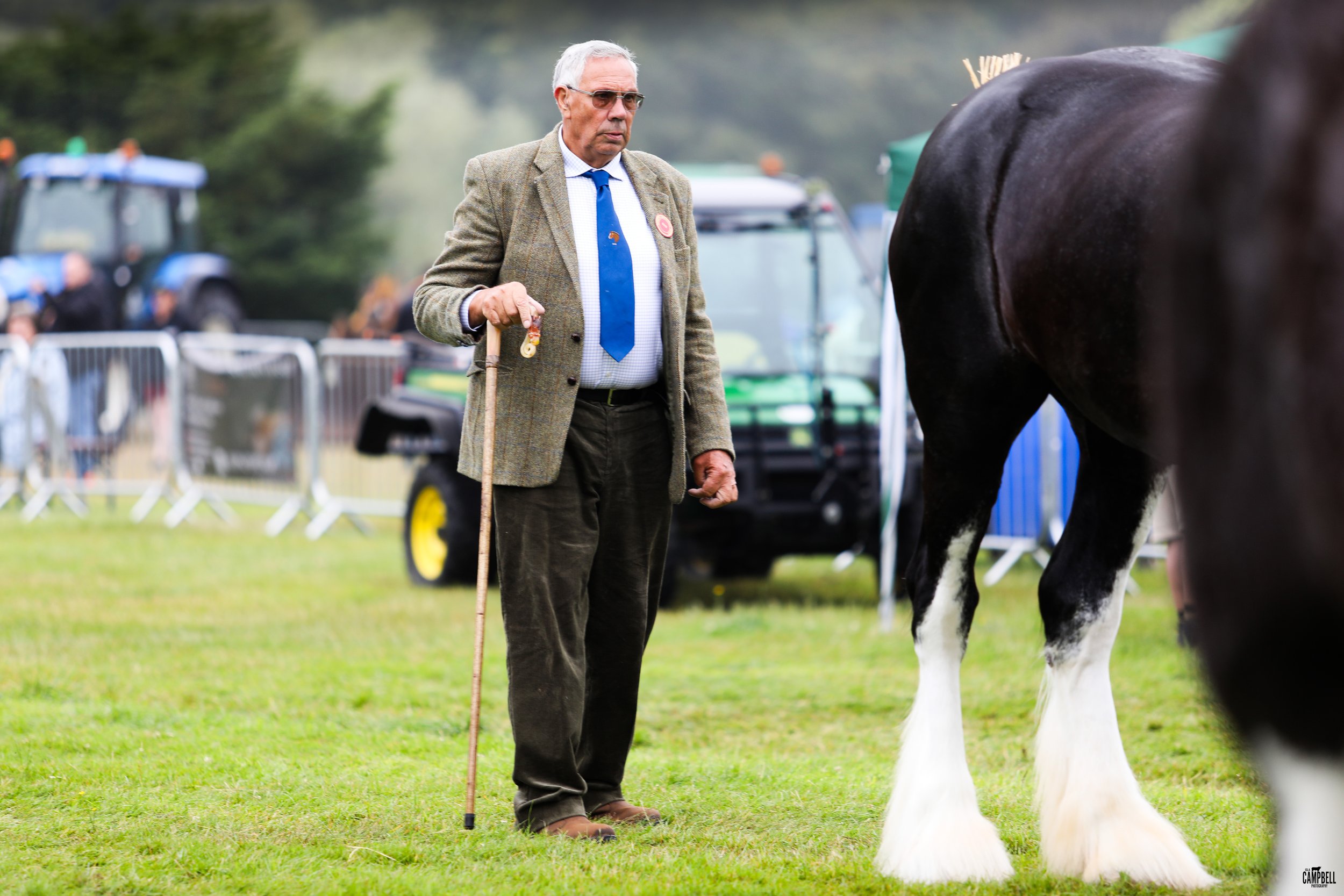 Older man in a tweed blazer, blue tie, and sunglasses holding a walking stick, standing next to a large black horse with white markings, in a field during an outdoor event.