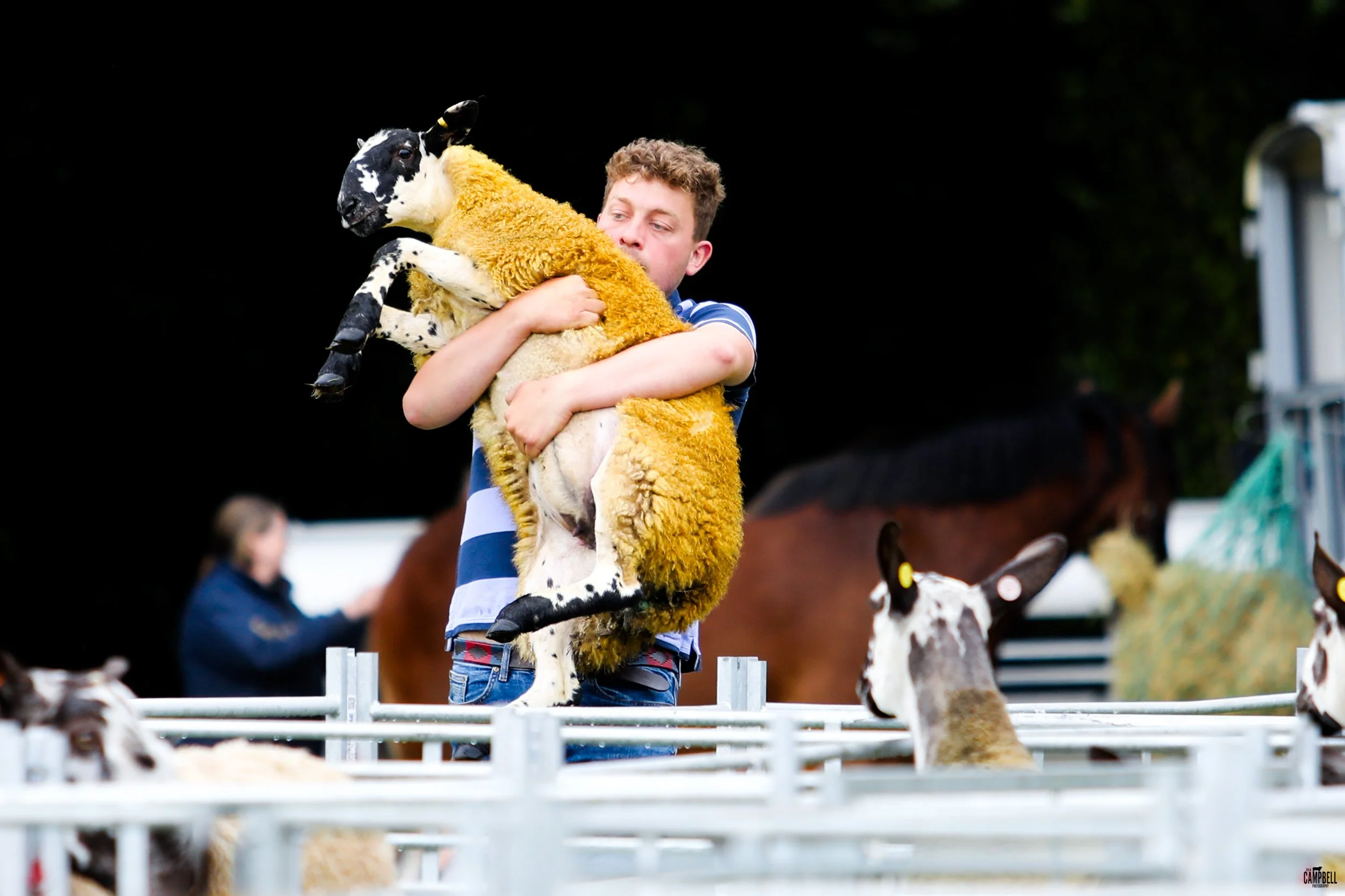 A man holding a young sheep with black and white spots, wearing a yellow fleece, at a farm with other sheep and a person in the background.