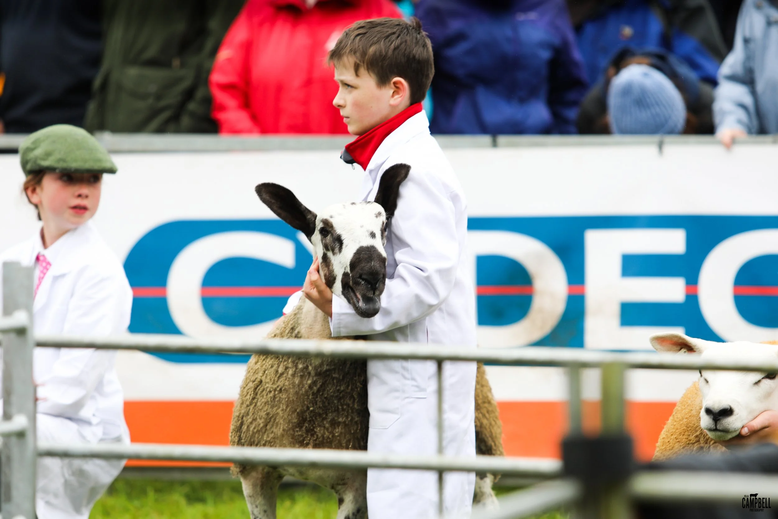 dalkeith show 24-102.jpg