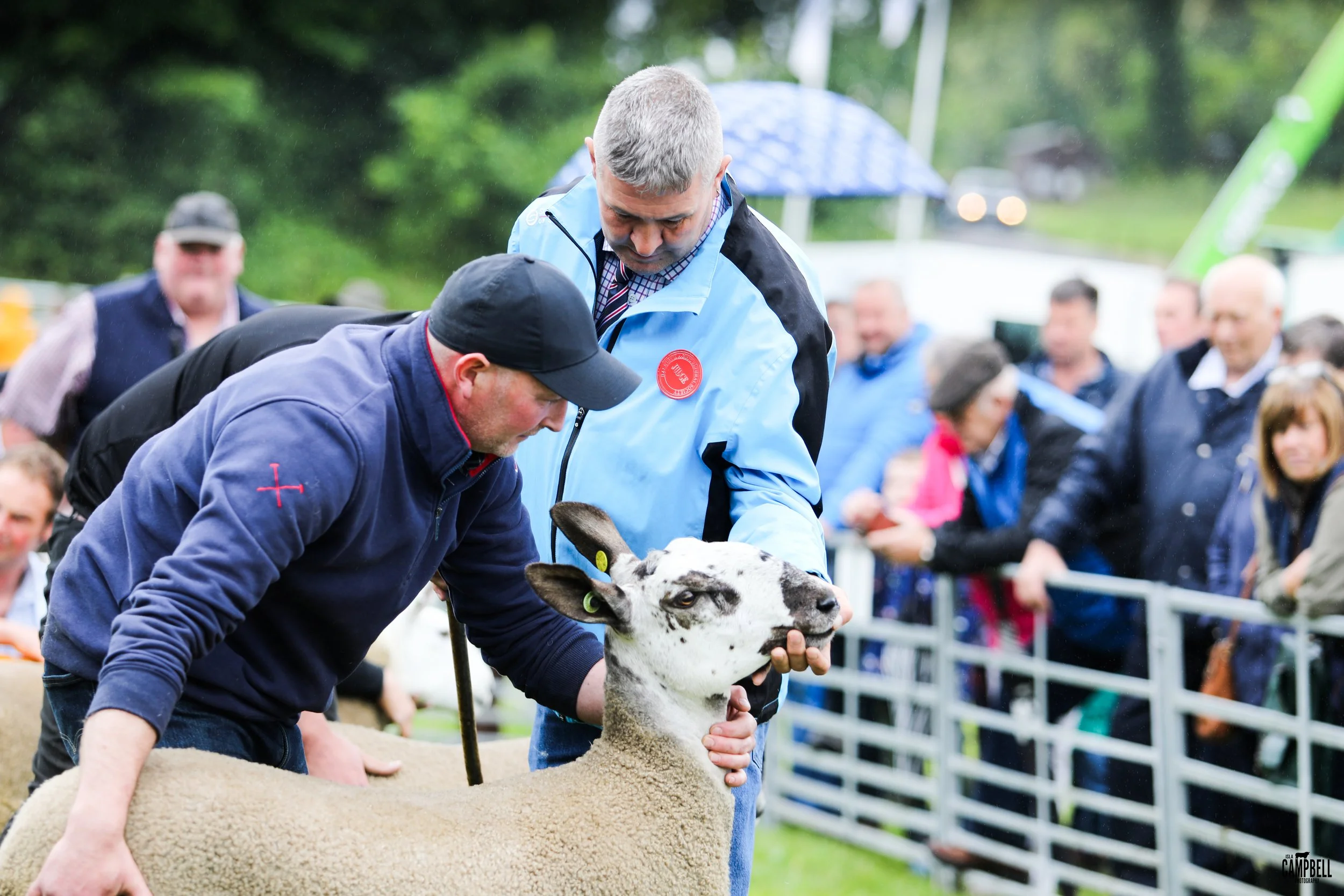 dalkeith show 24-094.jpg