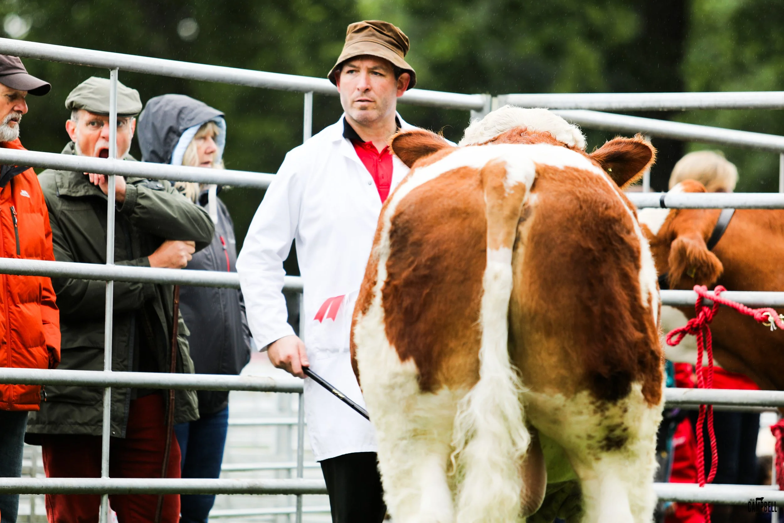 dalkeith show 24-13.jpg