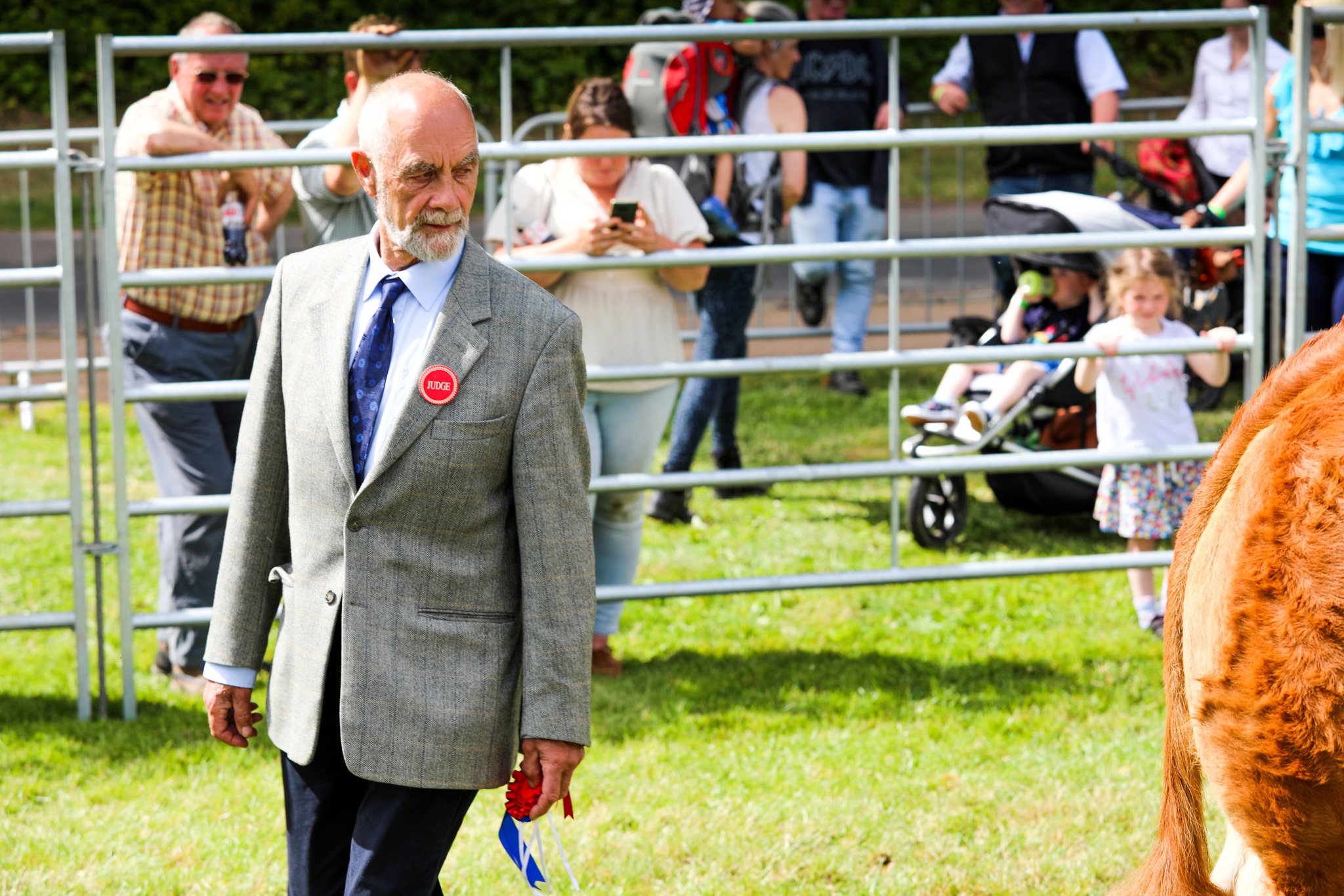 dalkeithshow-43.jpg