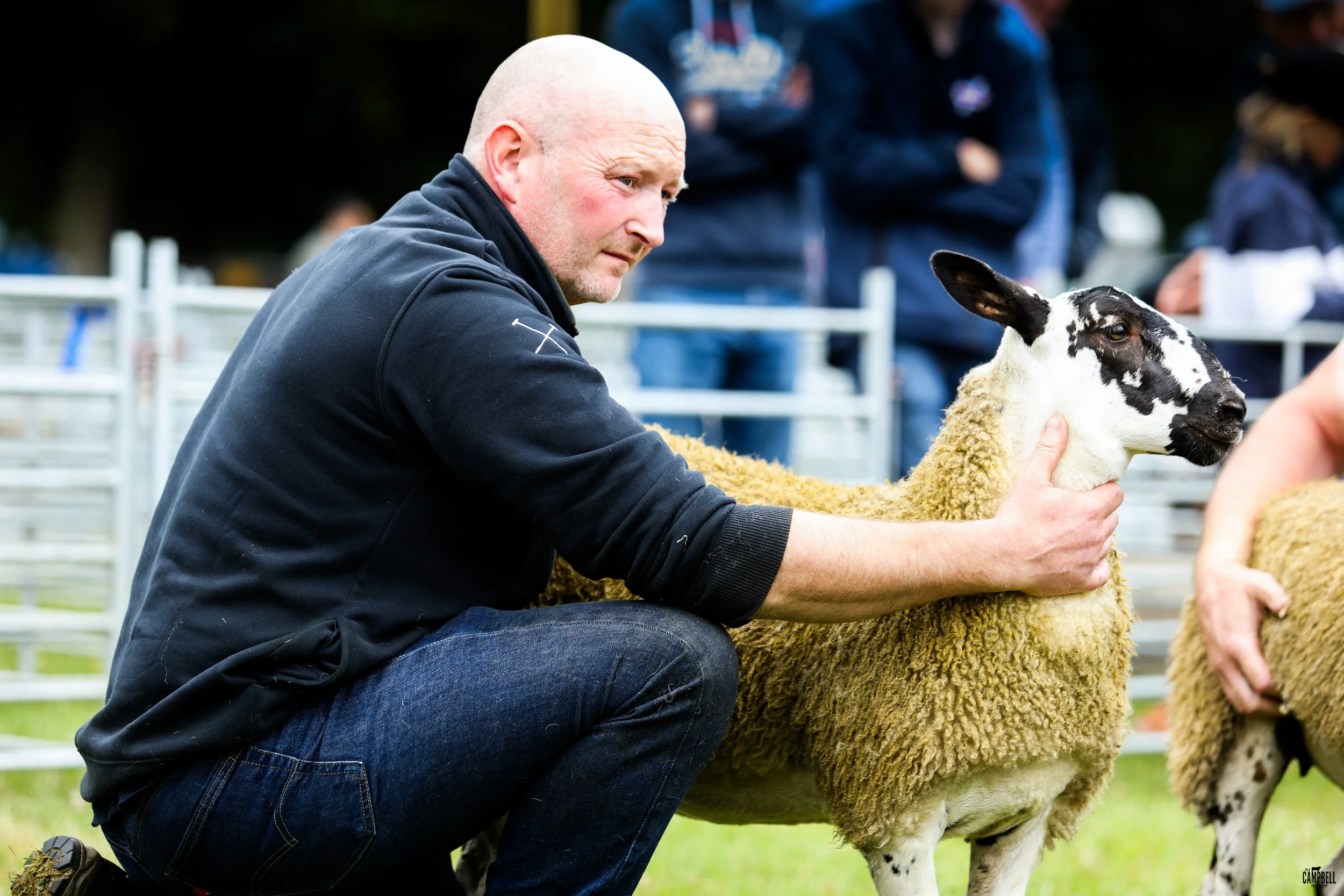 A man kneeling, holding a sheep's head gently, at an outdoor event with a blurred background of people and fencing.