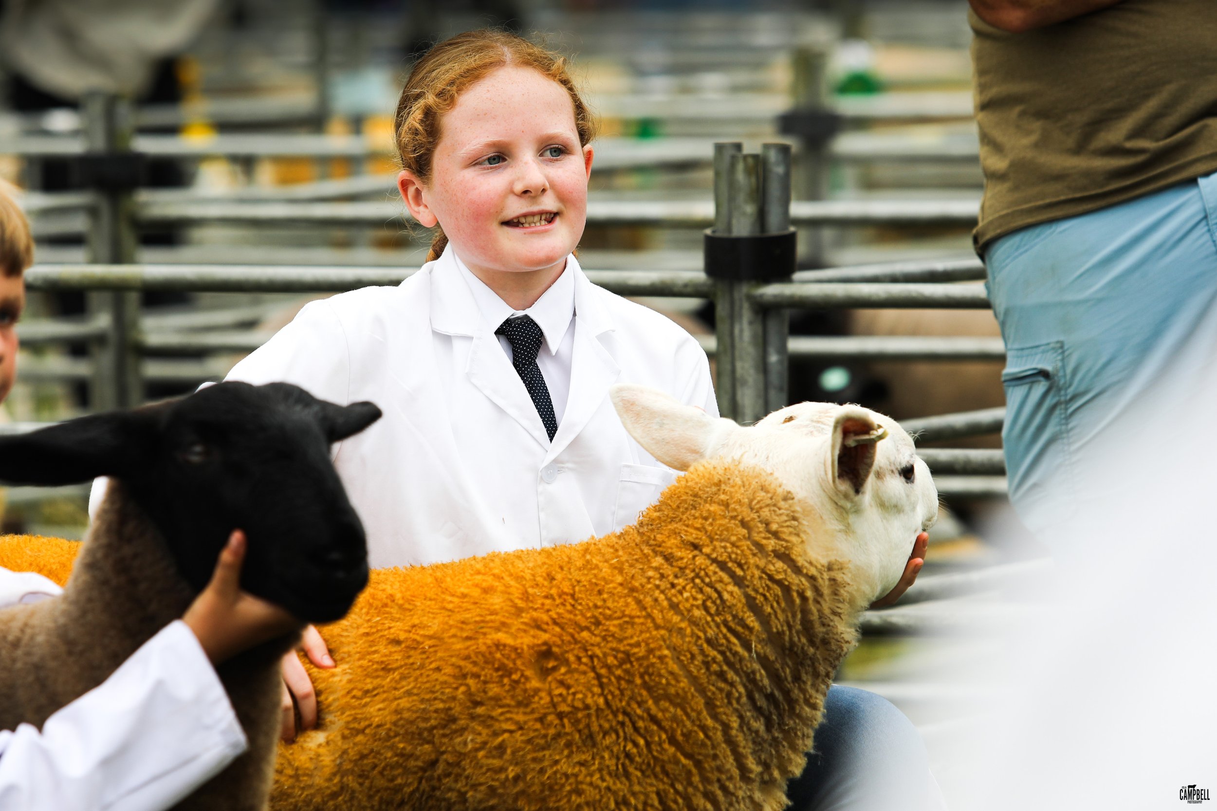 A young girl with red hair and a white shirt petting a sheep at a farm or petting zoo, with other children and adults nearby.