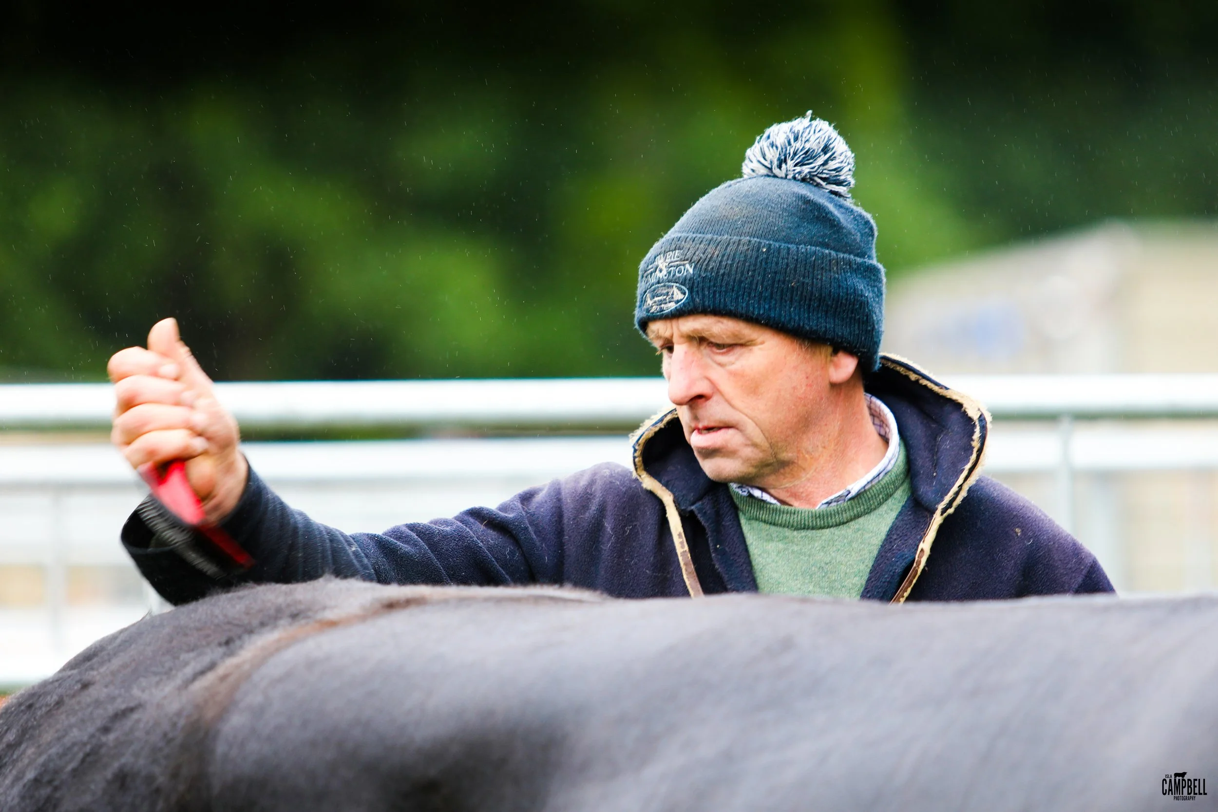 dalkeith show 24-01.jpg