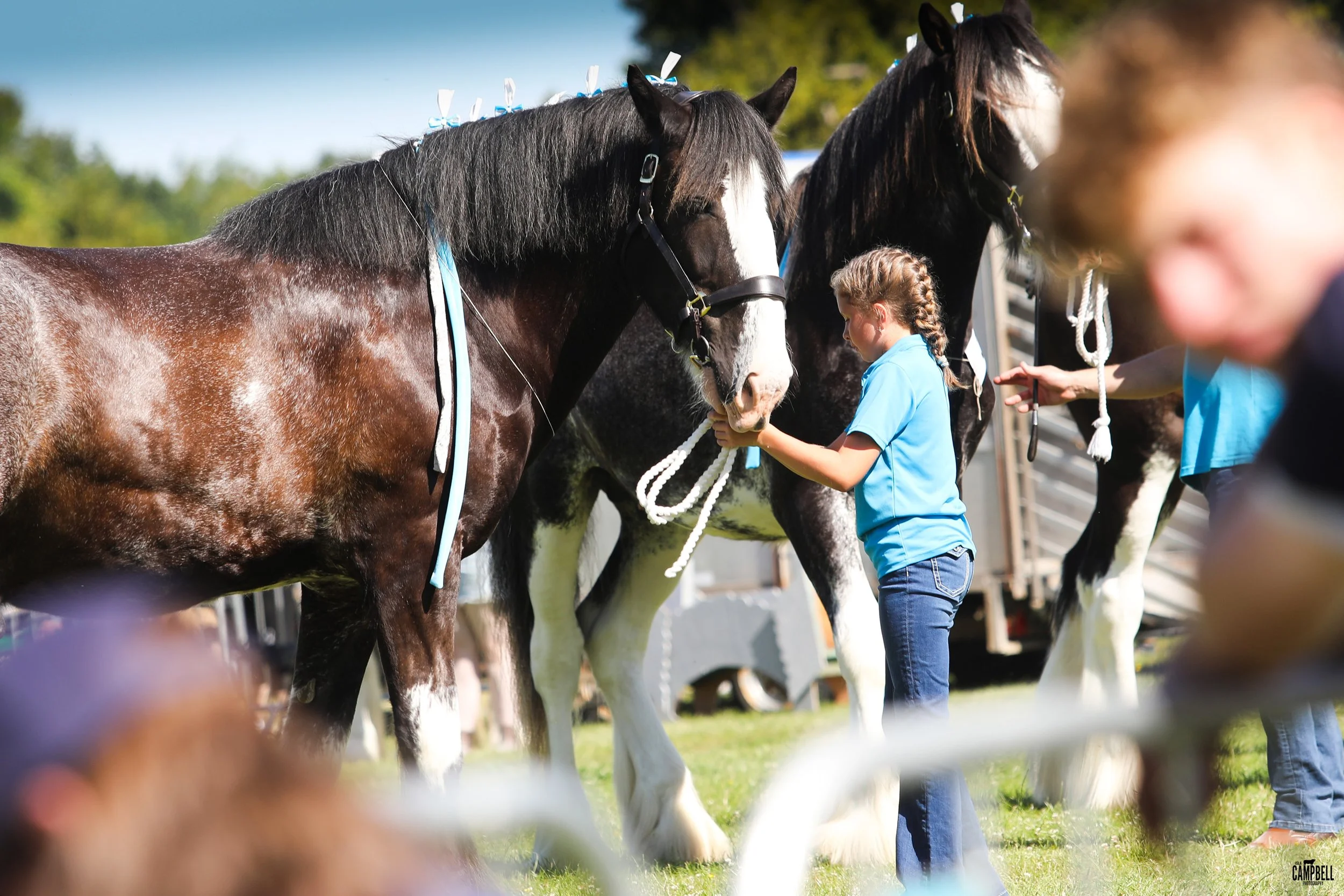 Young girl handling a large black and white horse at an outdoor event, with other horses and people in the background.