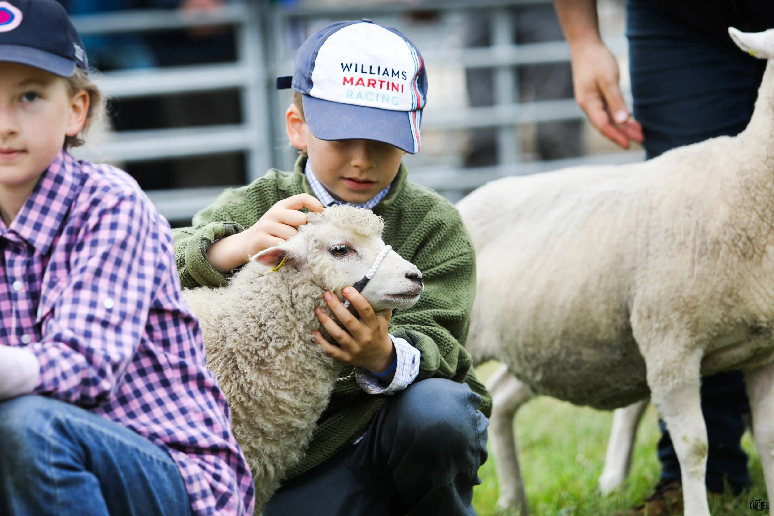 Children at a farm petting a young sheep