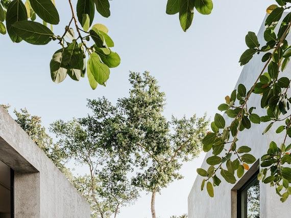 WhatsApp Image 2025-11-22 at 11.46.13 a.m. (2).jpeg