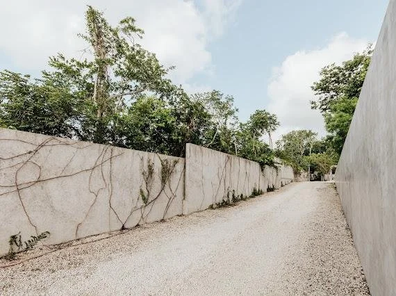 WhatsApp Image 2025-11-22 at 11.46.15 a.m. (4).jpeg