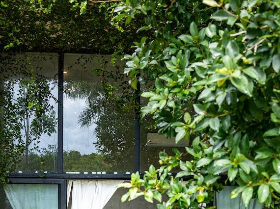 WhatsApp Image 2025-11-22 at 11.46.15 a.m..jpeg